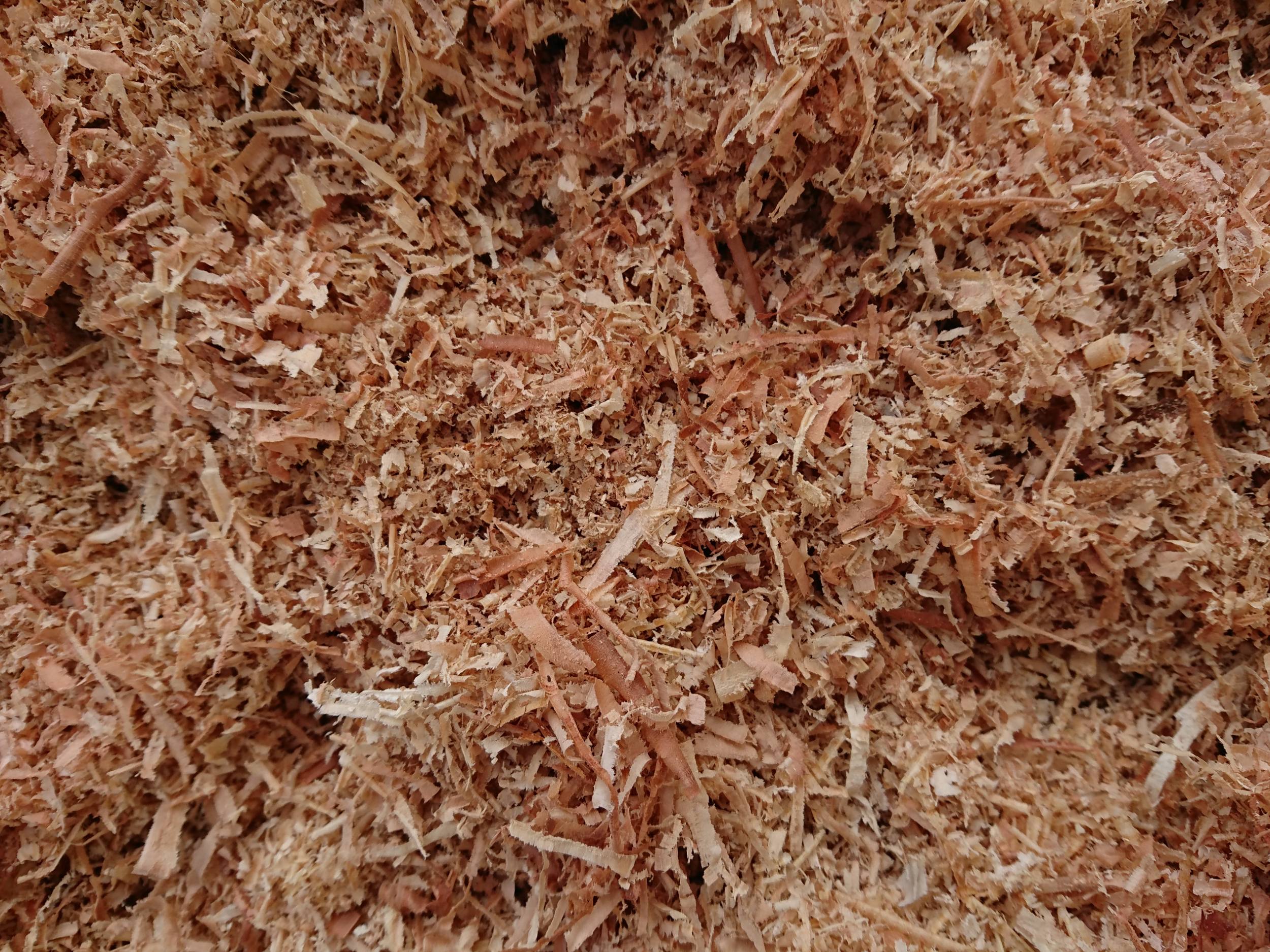 Torffreie Erden für deinen Garten OBI