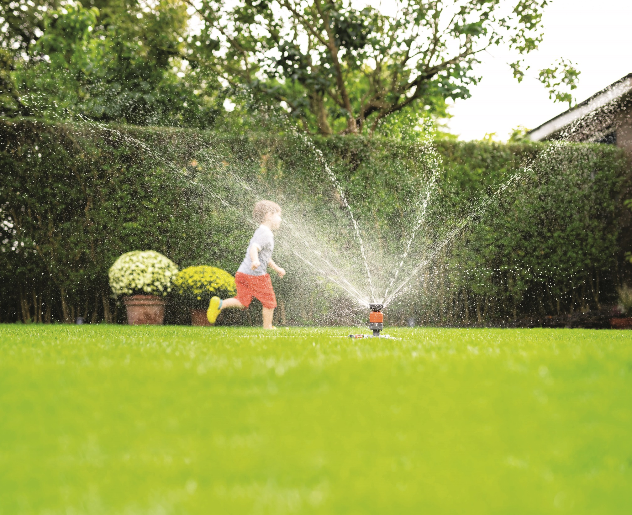 Un bambino piccolo salta attraverso l’acqua spruzzata dall’irrigatore da prato