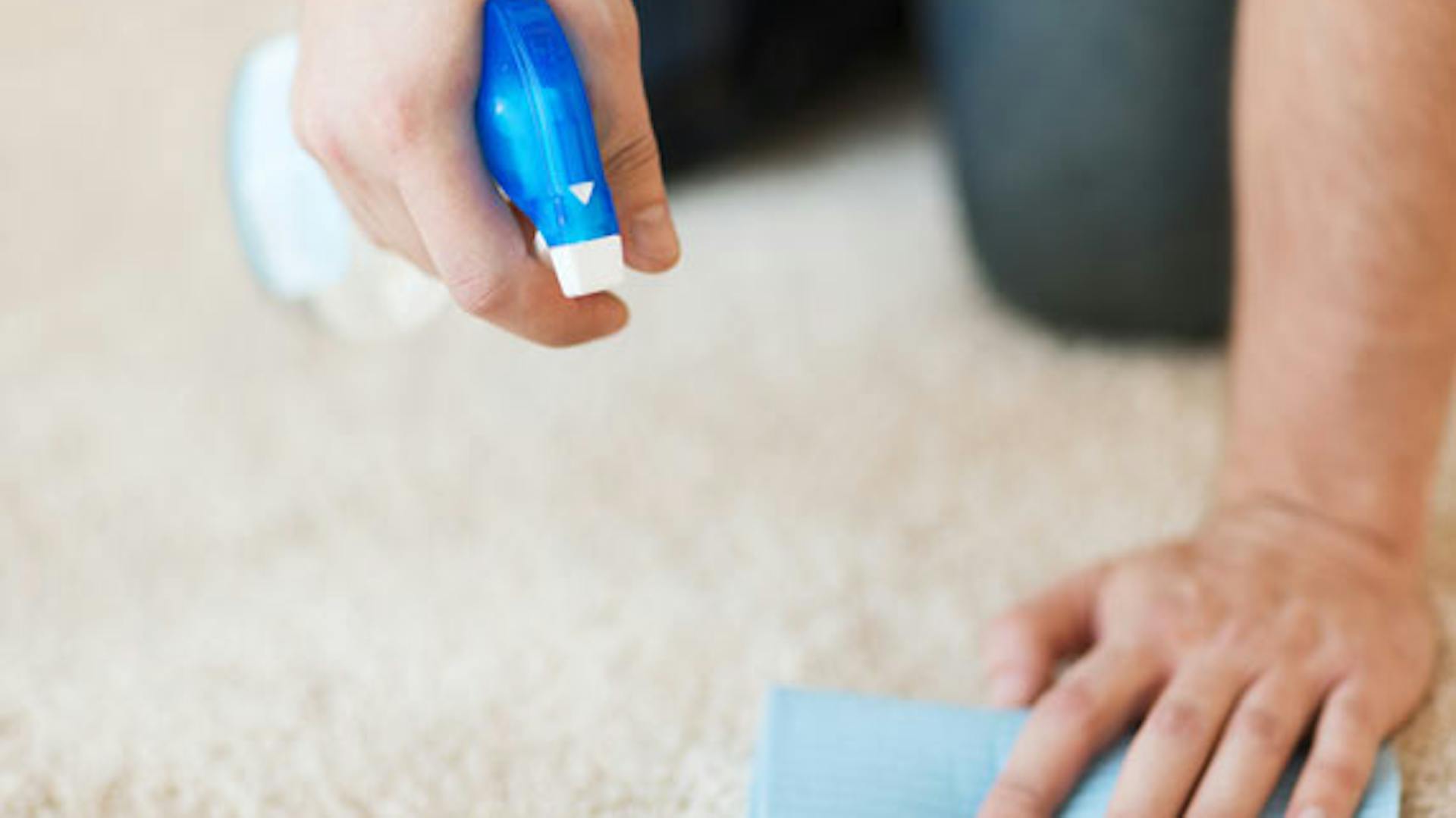 Ein Fleck wird mit einer Sprühflasche und einem Lappen von einem Teppich entfernt.