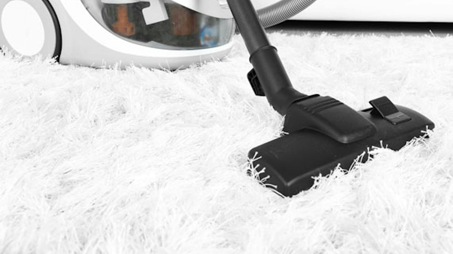 Hosszú szálú szőnyeget porszívóval tisztítanak.