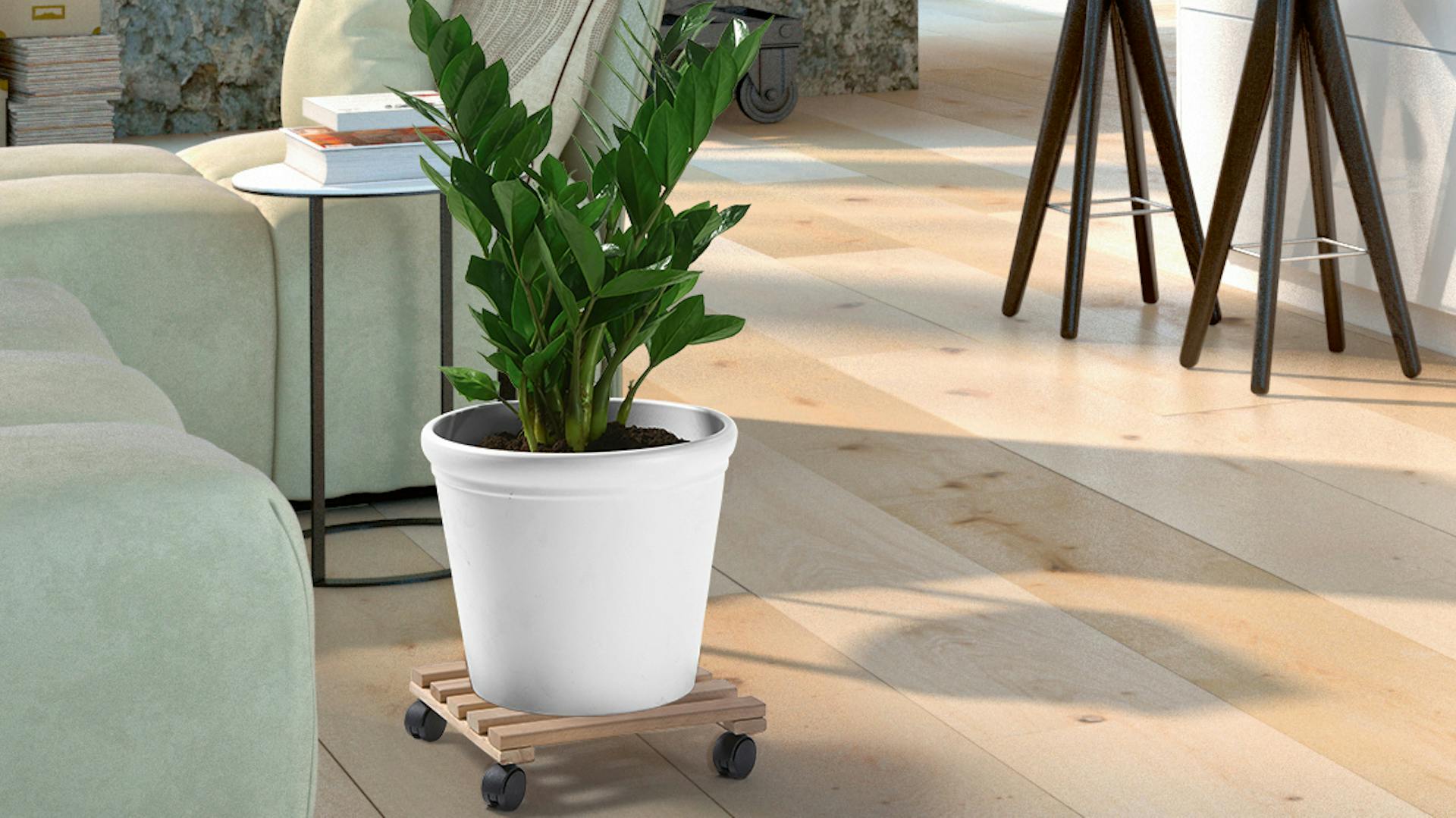 Auf dem Parkett steht eine Pflanze auf einem Pflanzenroller.