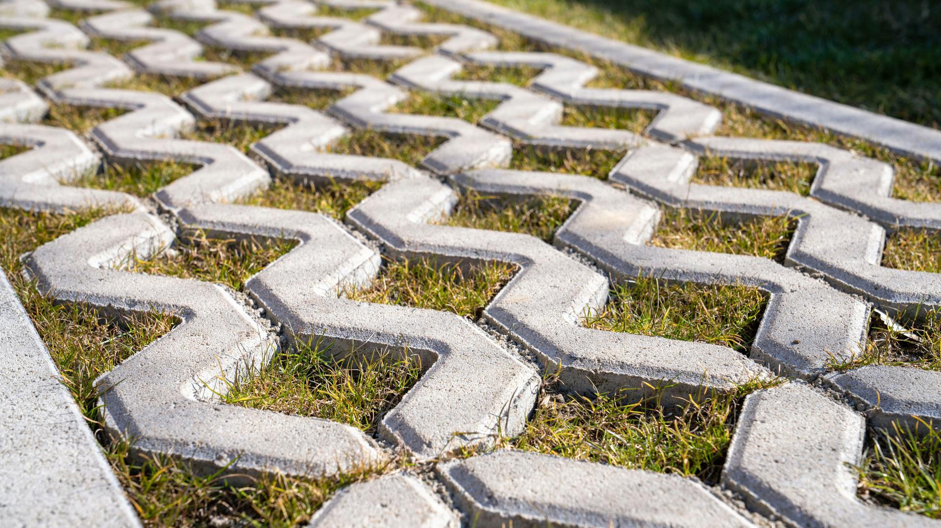 Zatrávňovacie tvárnice s trávou