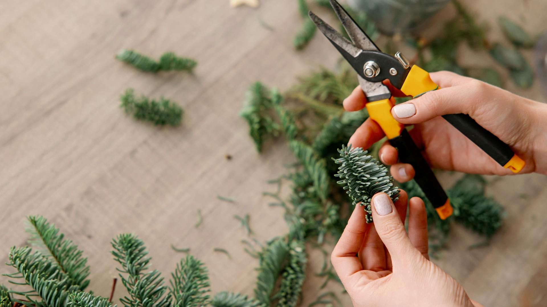 Eine Person schneidet mit einer Schere Tannengrün zurecht.