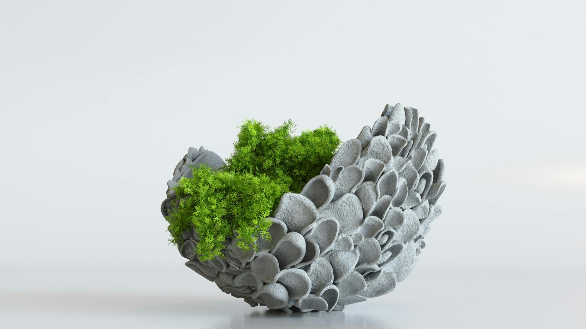 Blumenschale aus Knetbeton in Flügeloptik mit Pflanze auf Fläche