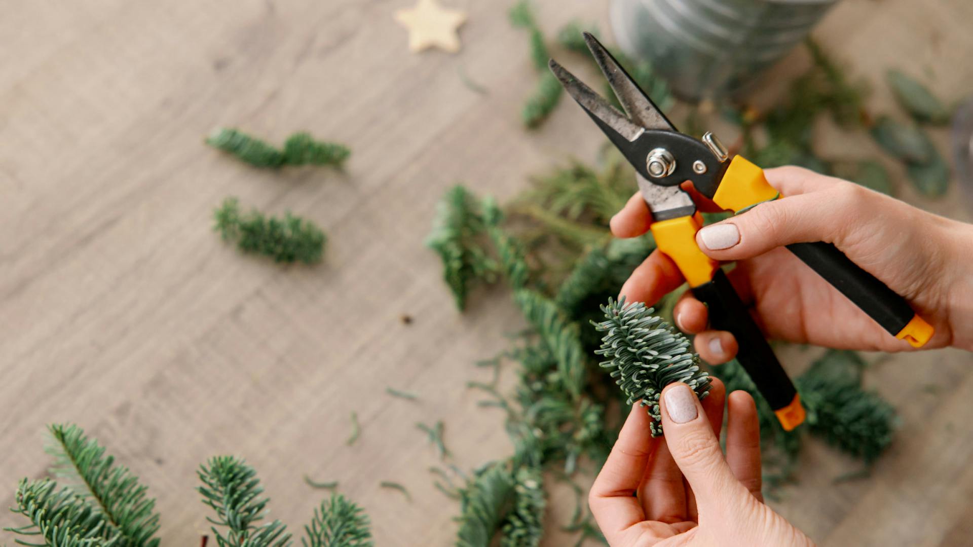 Persona taglia i ramoscelli d’abete con cesoie da giardino sul tavolo.