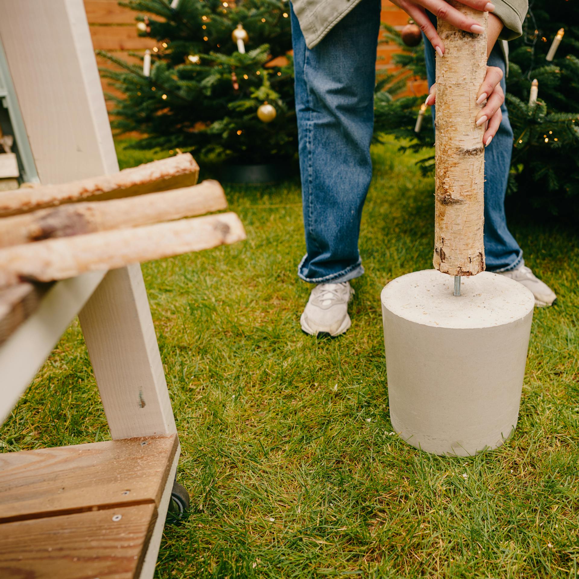 Pracovníčka zasúva brezový kmeň na betónový stojan.