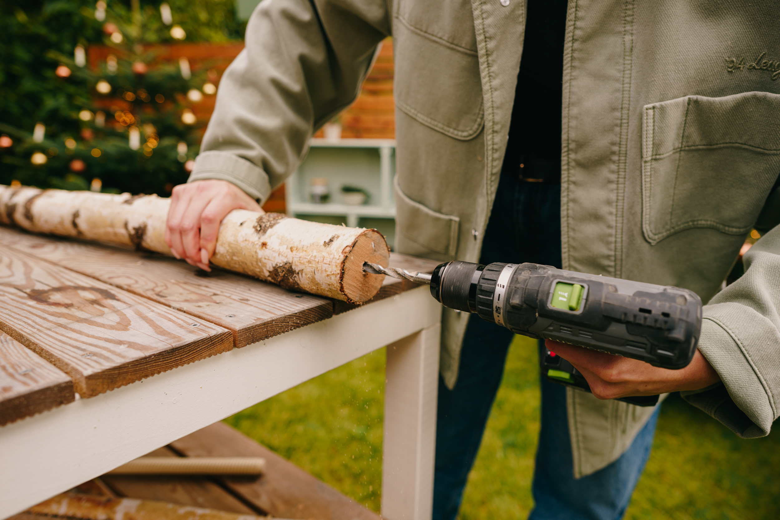 Pracovníčka vŕta otvor do brezového kmeňa.