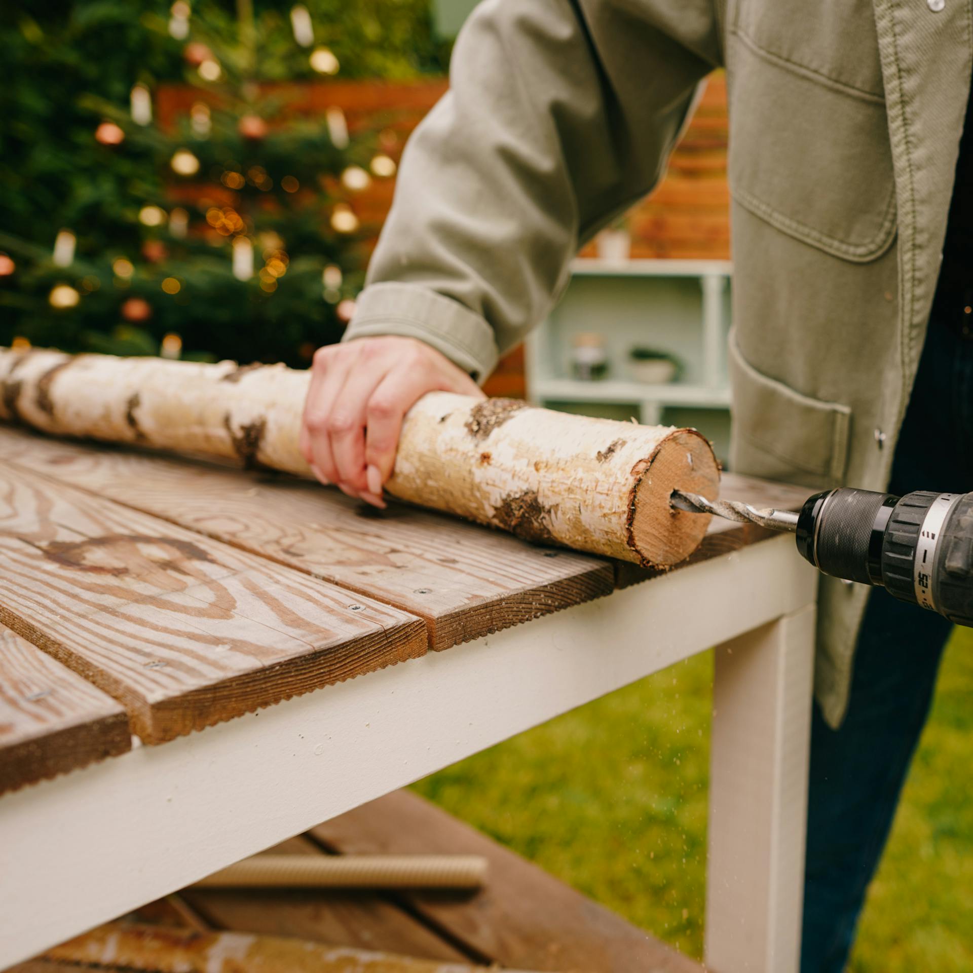 Pracovníčka vŕta otvor do brezového kmeňa.
