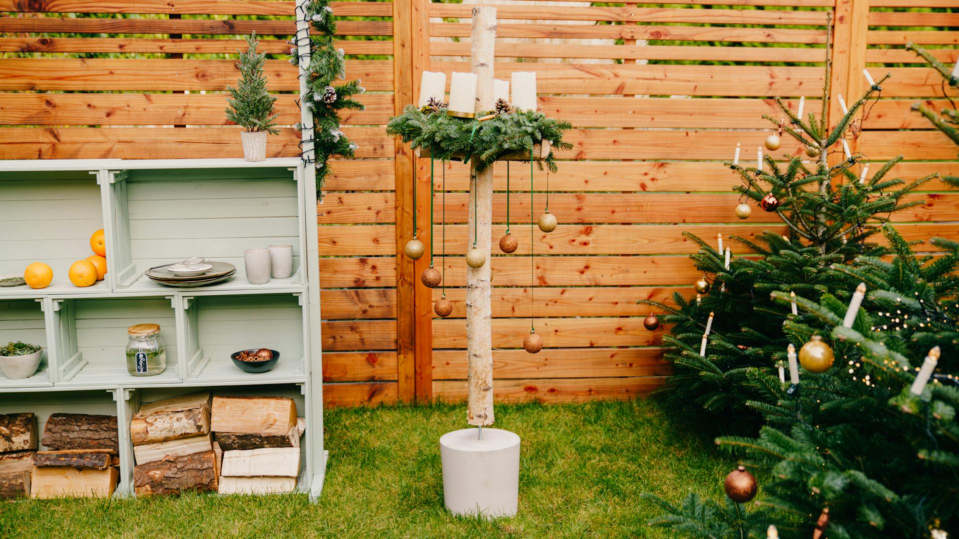 DIY steht im Garten neben einem Tannenbaum.