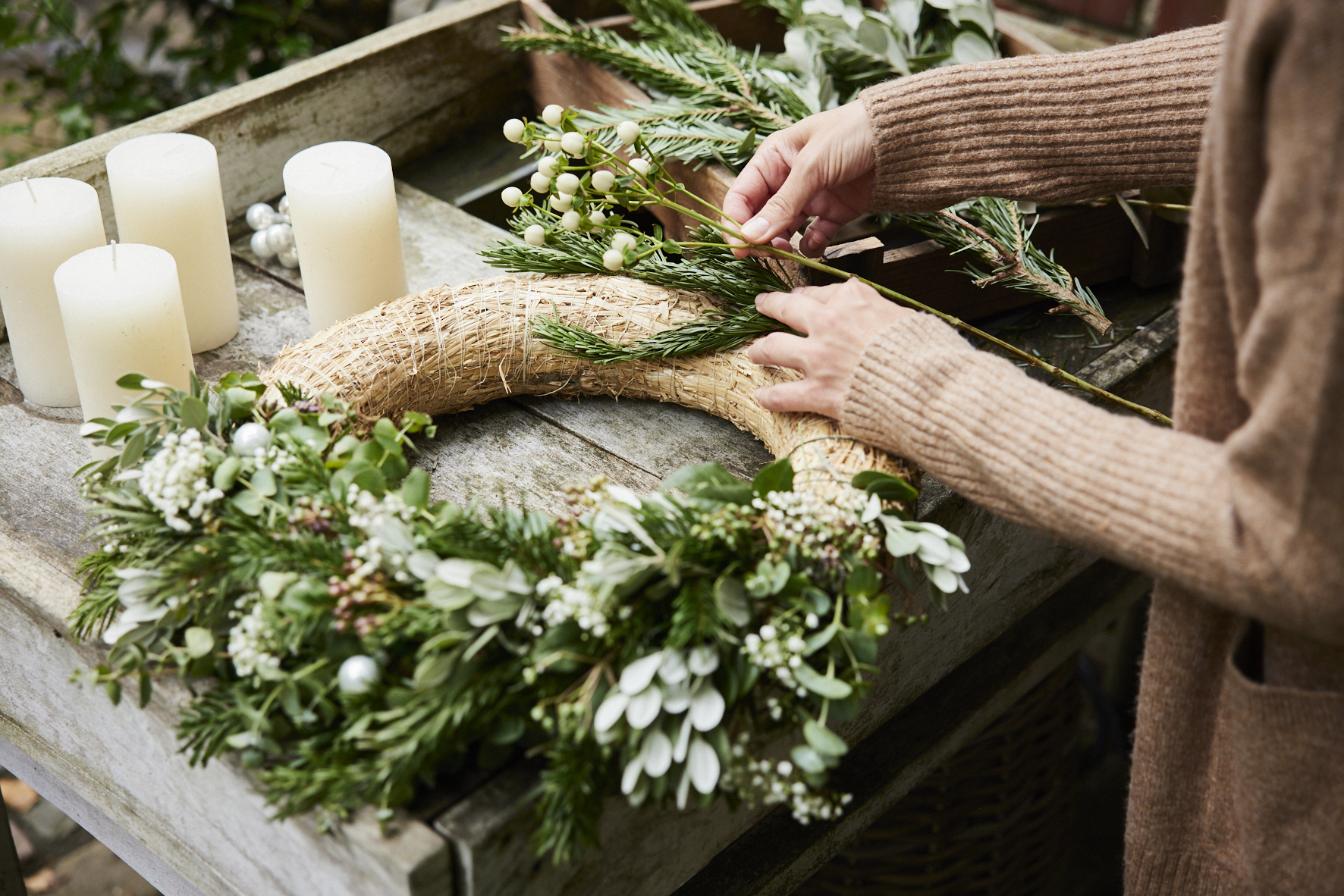 Diverse piante vengono poste sulla corona come prova