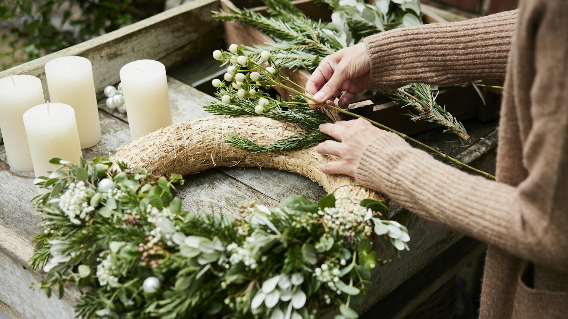 Unterschiedliche Pflanzen werden an den Kranz angelegt, um zu testen