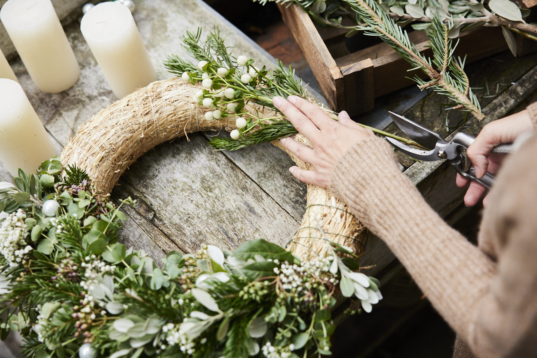 Il ramo verde troppo lungo viene tagliato alla giusta lunghezza