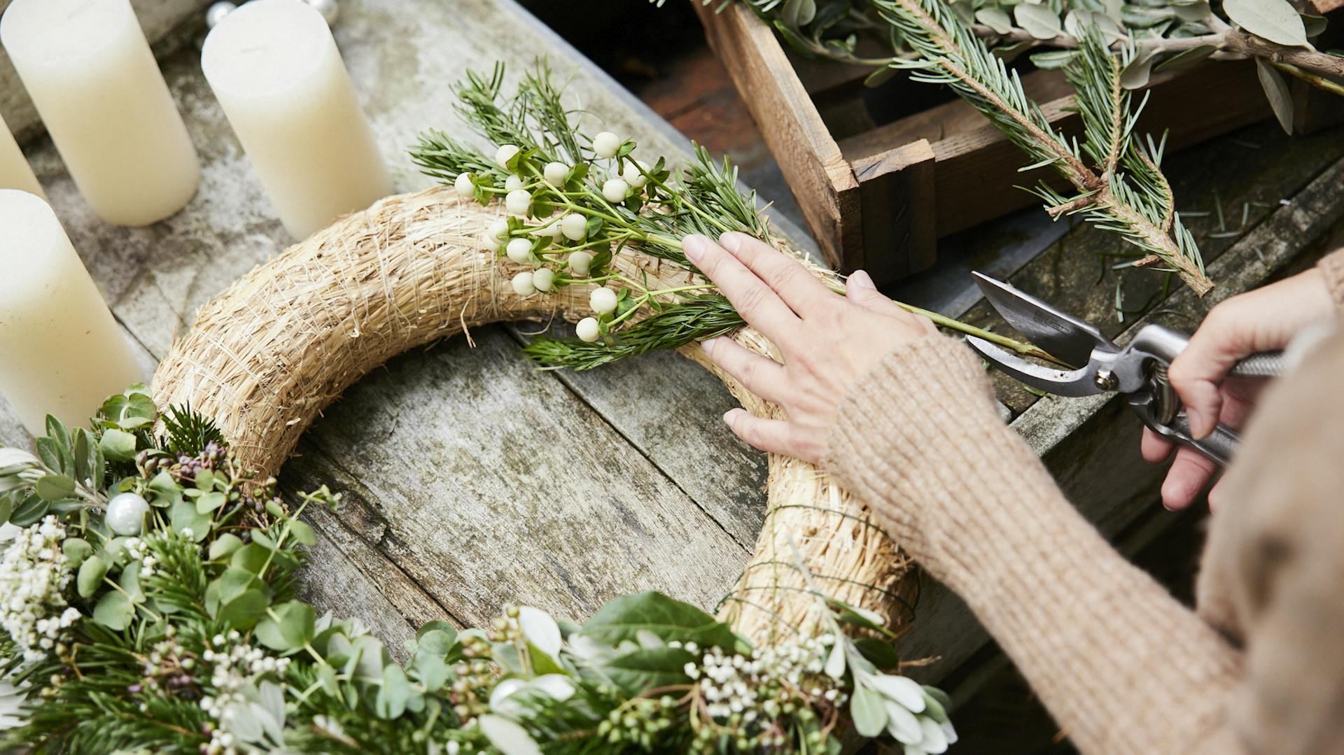 Zu langes Grün wird auf die richtige Länge geschnitten