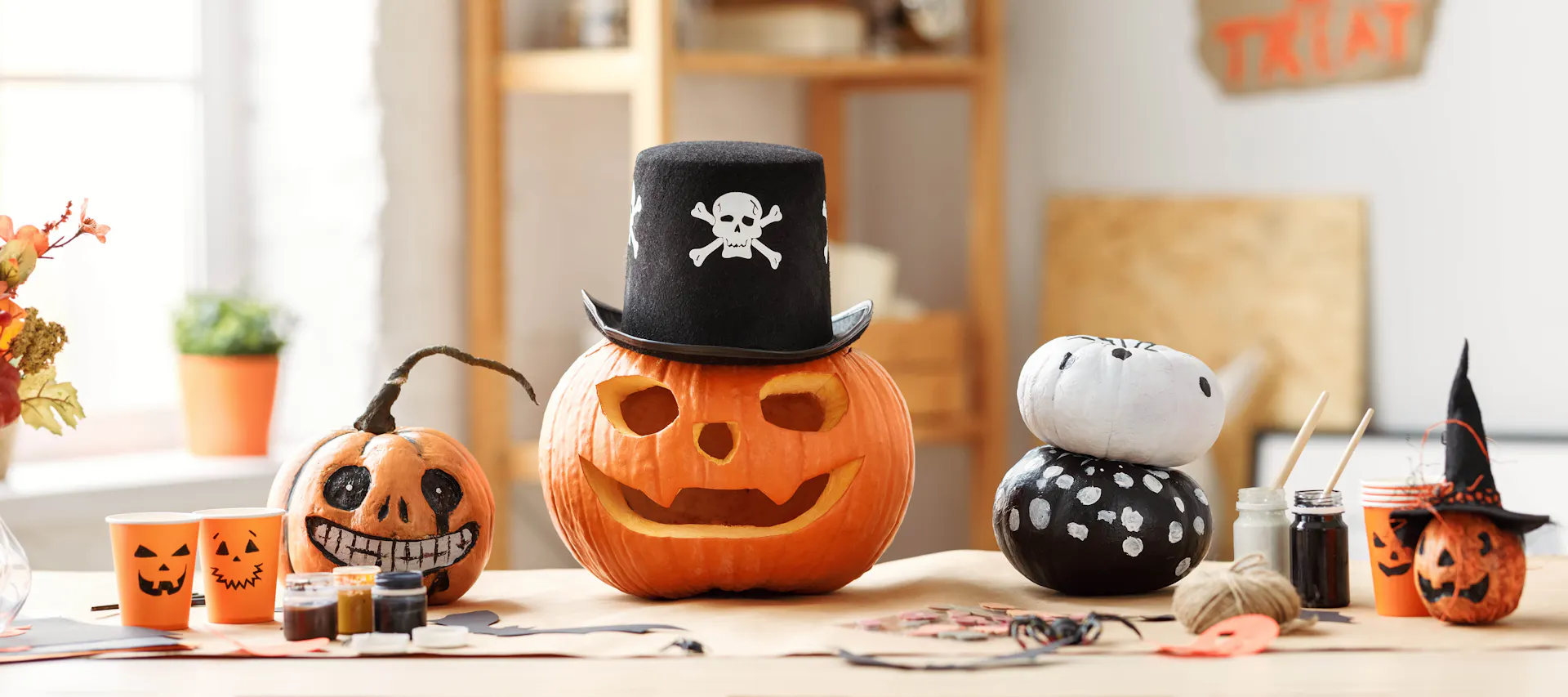 halloween kürbisse