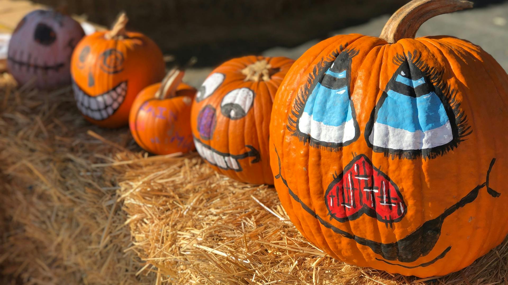 Kürbisse mit verschiedenen aufgemalten Gesichtern.