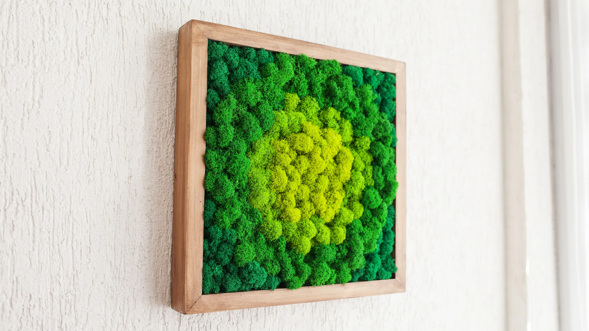 Mechový obraz s kopečkovým mechem zelené a žluté barvy ve čtvercovém rámu na stěně