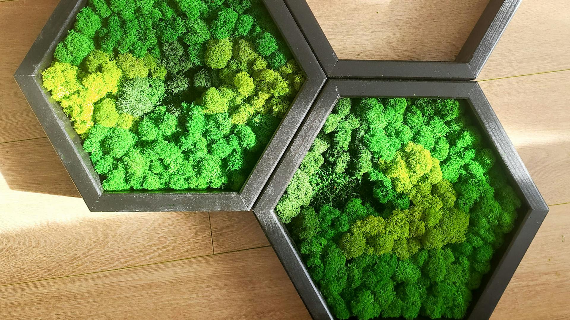 Moosbilder selber machen: Ideen und Inspiration | OBI