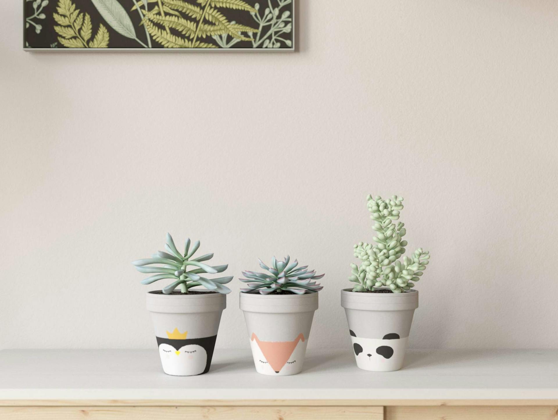 Állatarcokkal festett cserepekben különböző szukkulensek vannak.