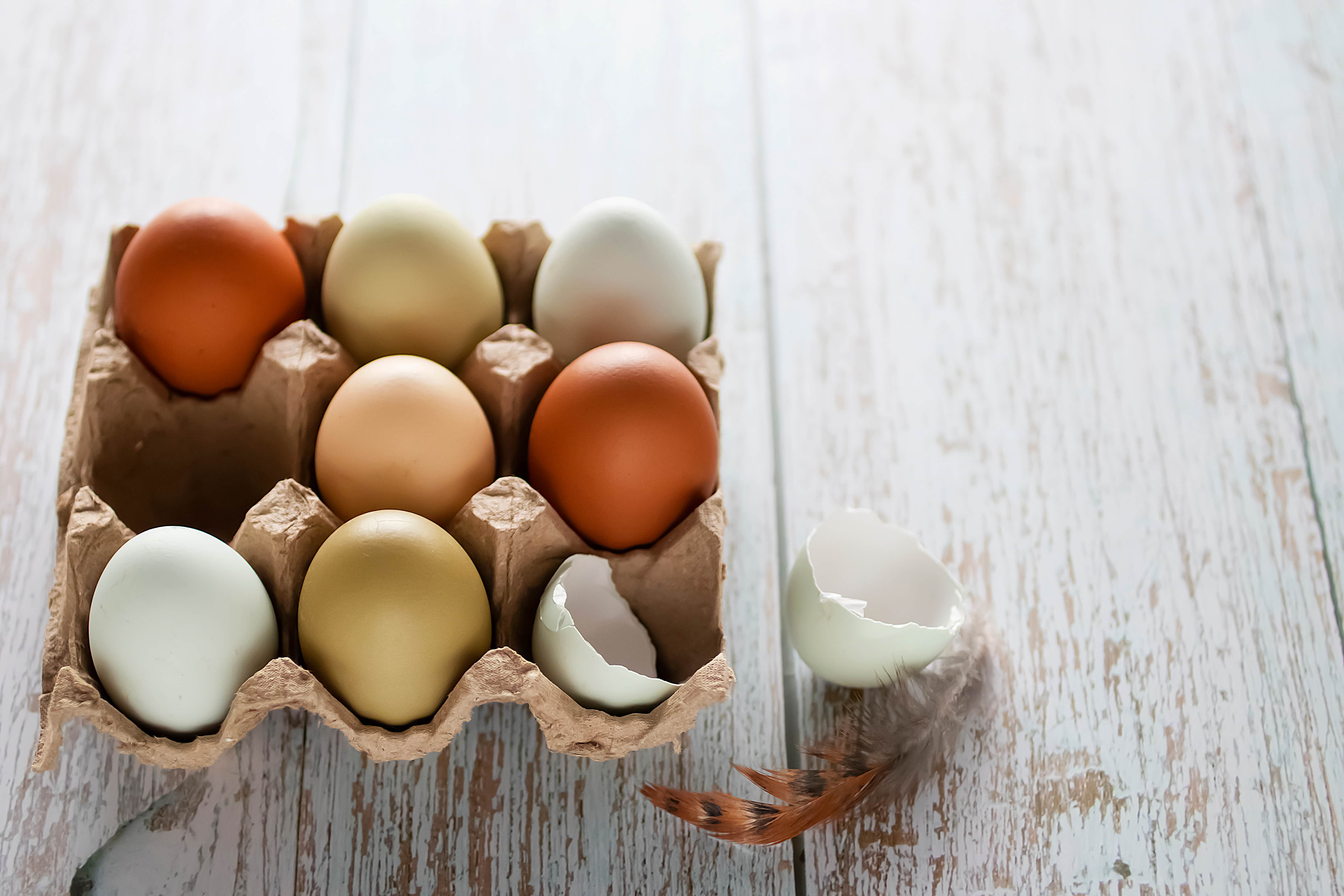 Eier in einem Eierkarton