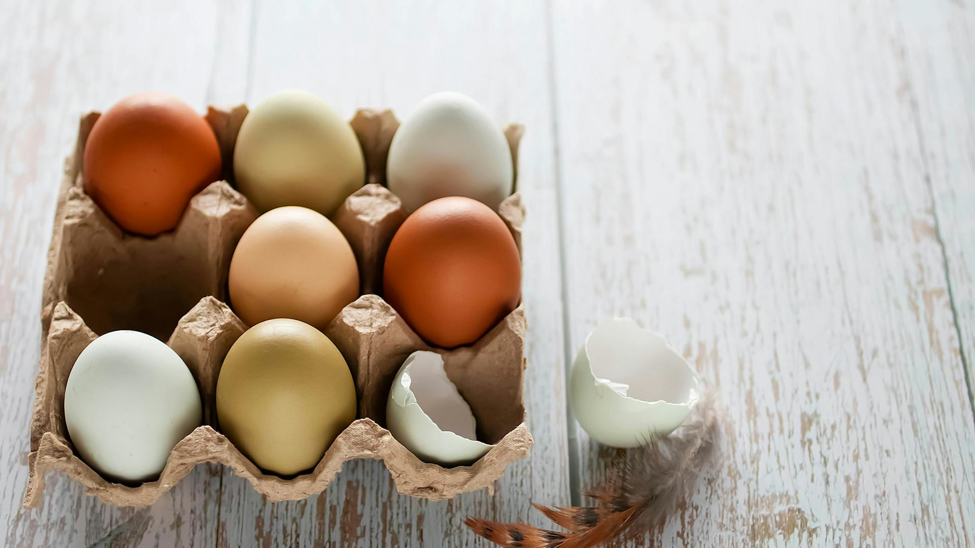 Eier in einem Eierkarton