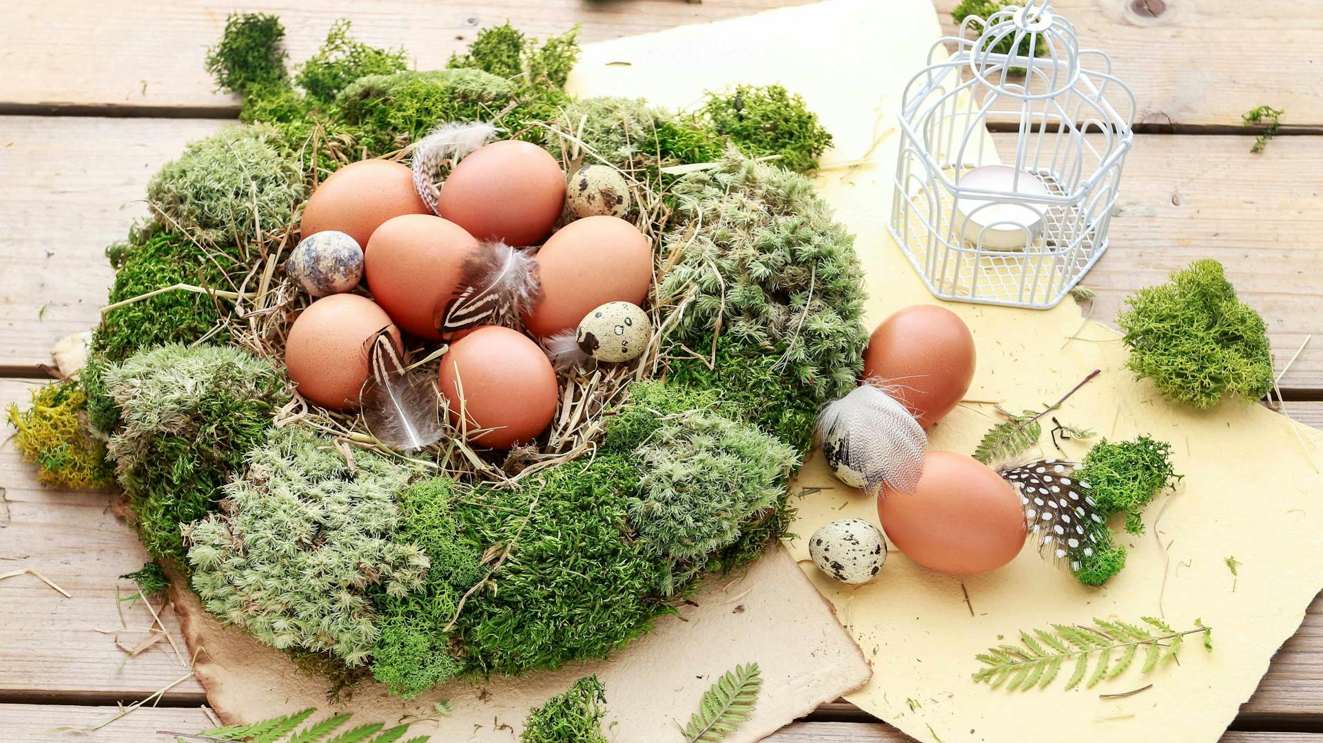 Osternest aus Naturmaterialien, Federn und Moos