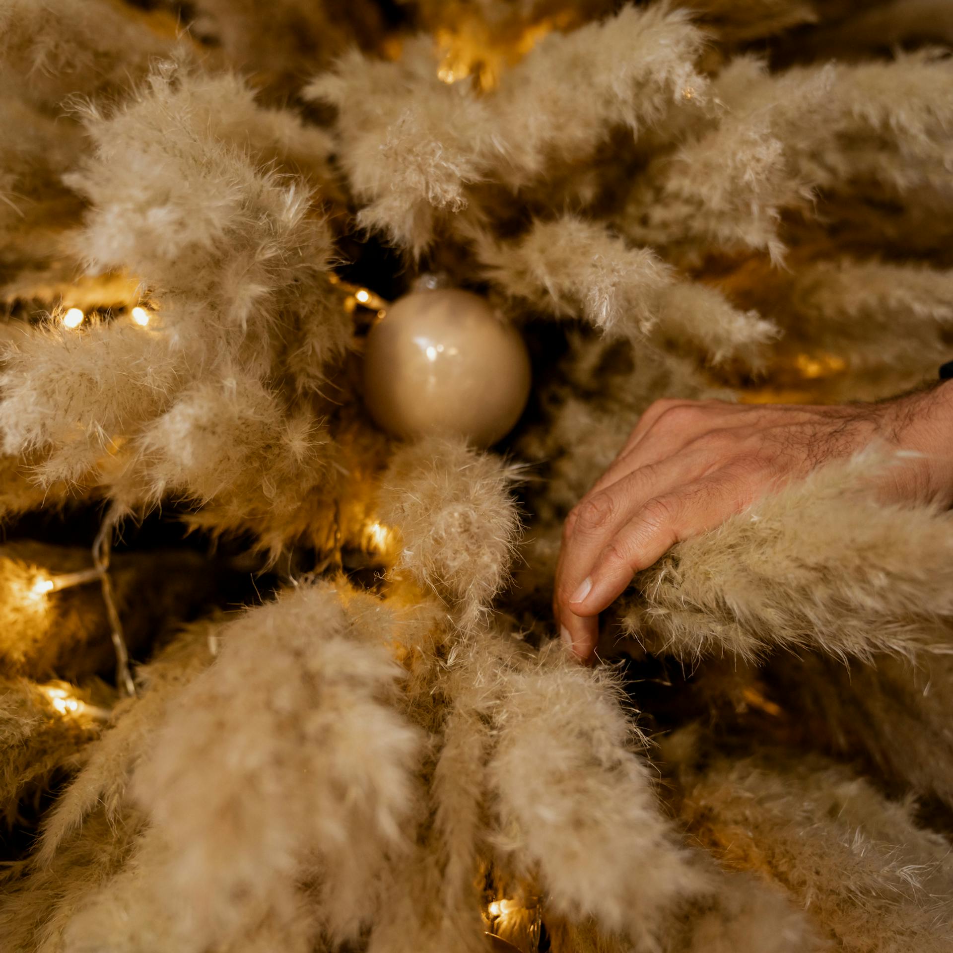 Pampasgrasbaum den letzten Schliff geben