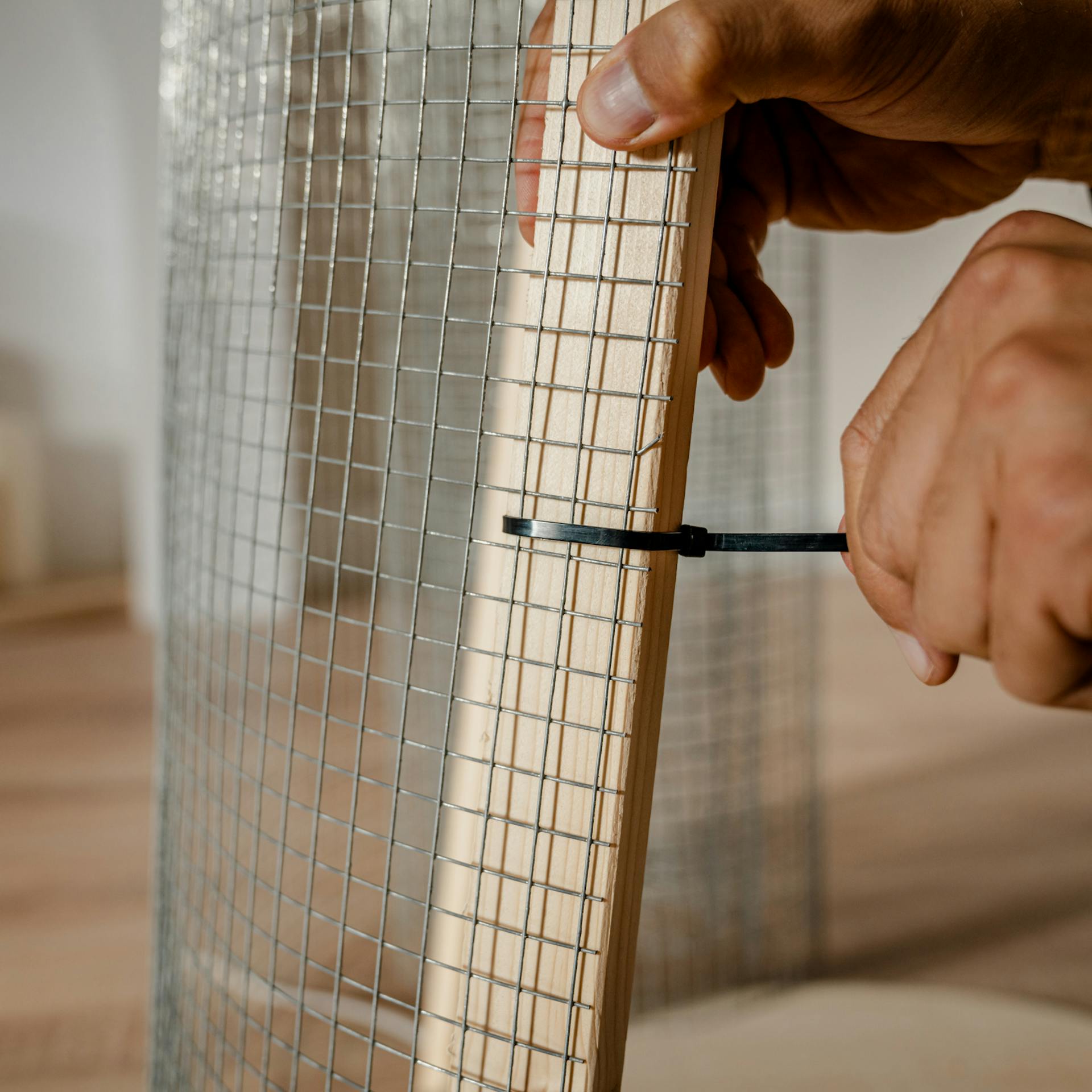 Kaninchendraht mit dem Pampasgrasgestell verbinden