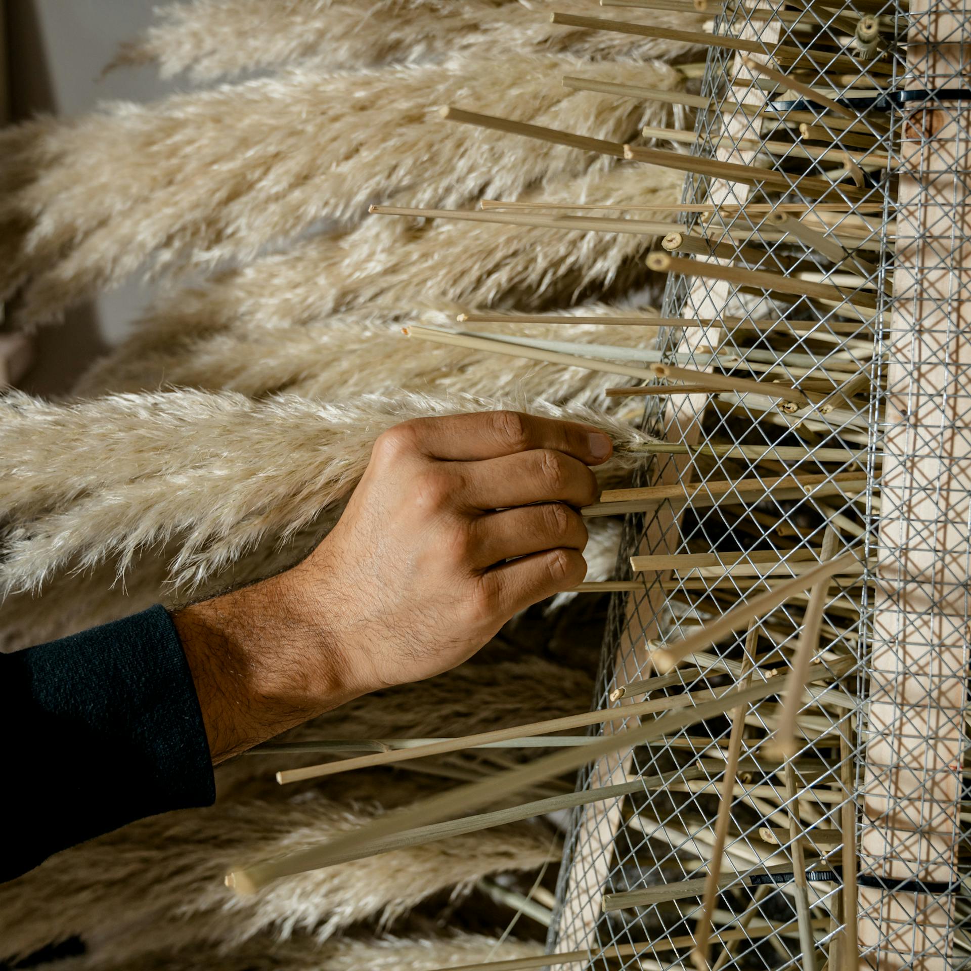 Pampasgras wird durch das Gestell festgesteckt