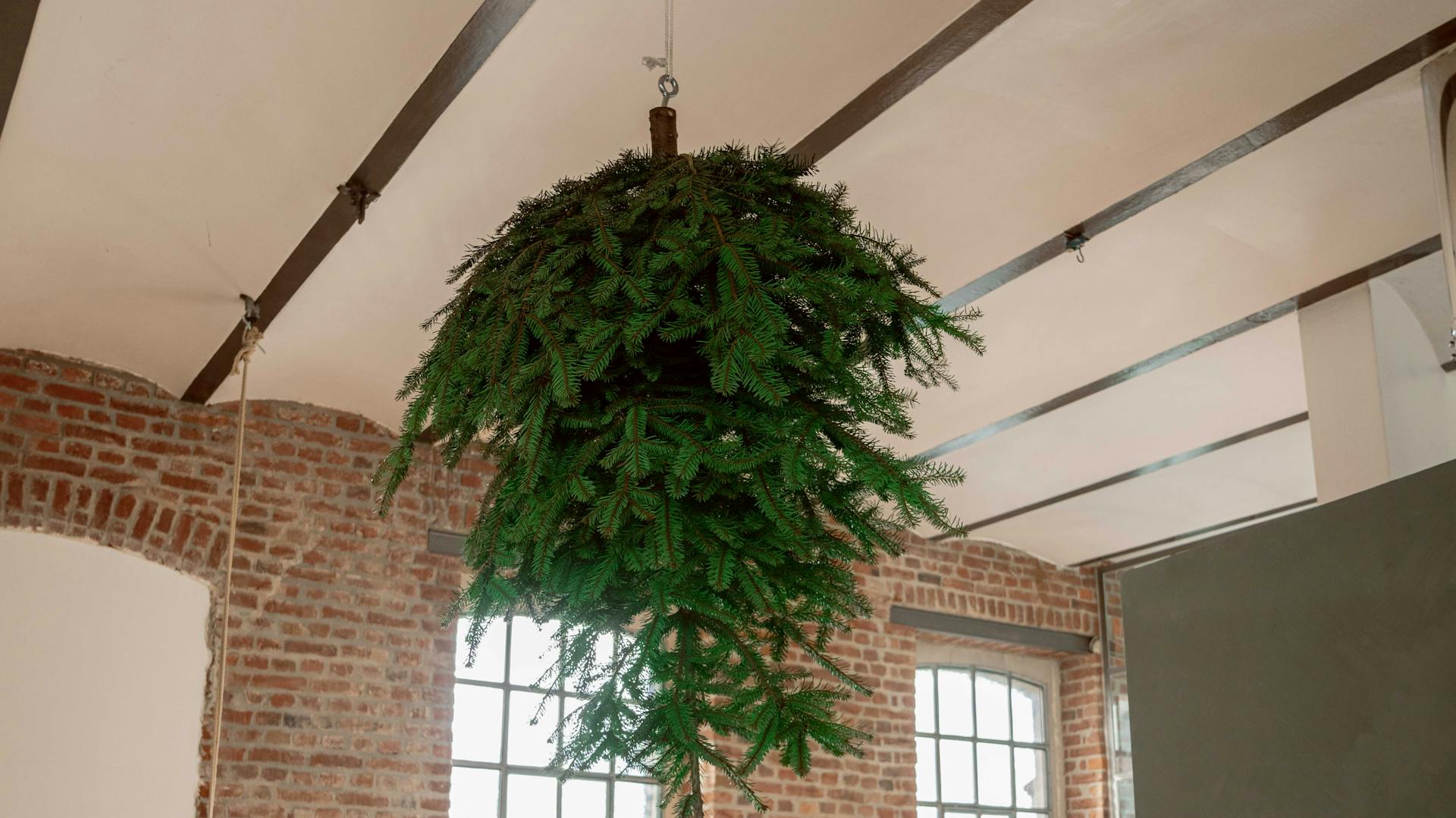 Weihnachtsbaum an der Decke