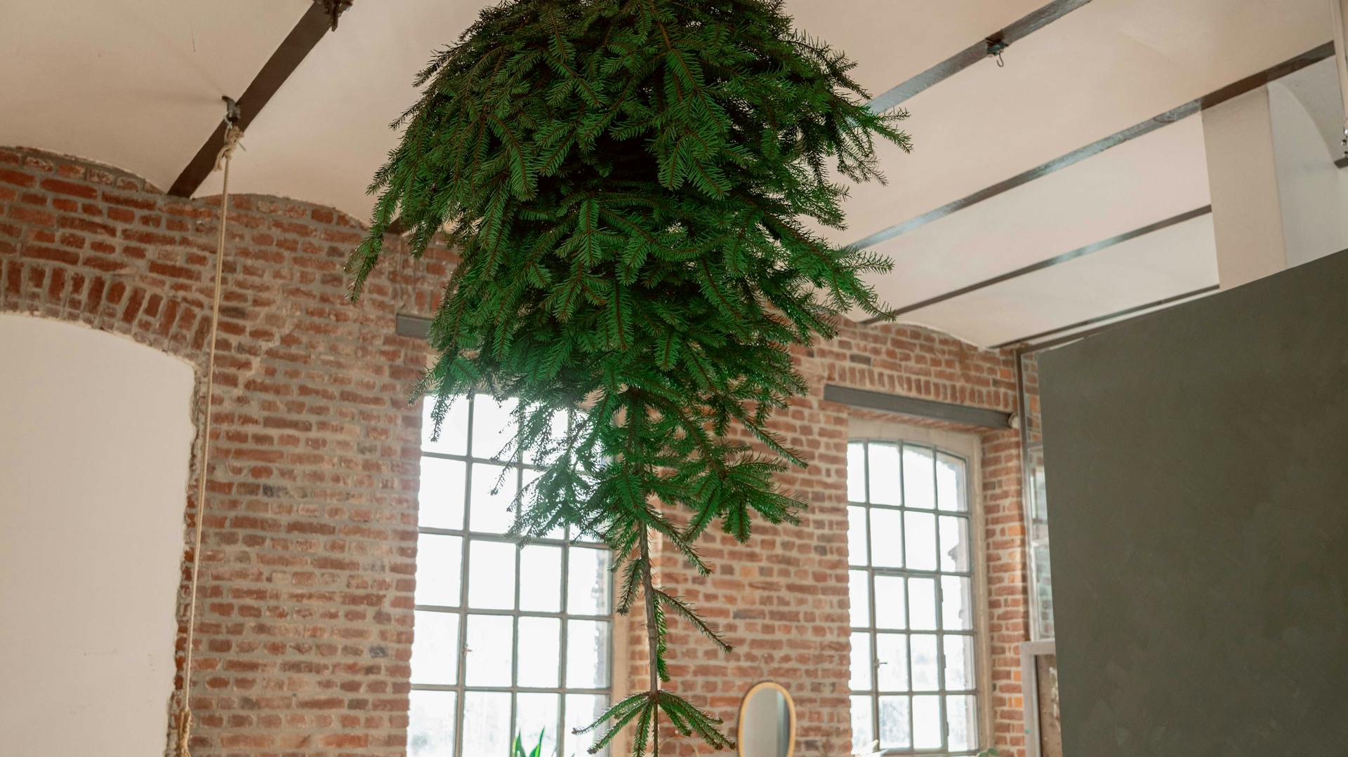 Albero di natale al soffitto