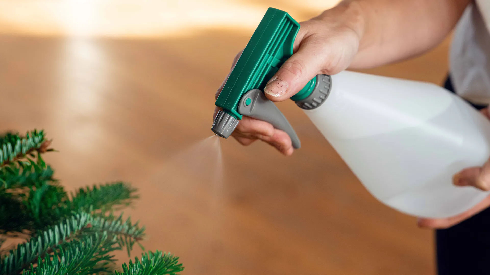 Weihnachtsbaumpflege mit Sprühflasche voll Wasser