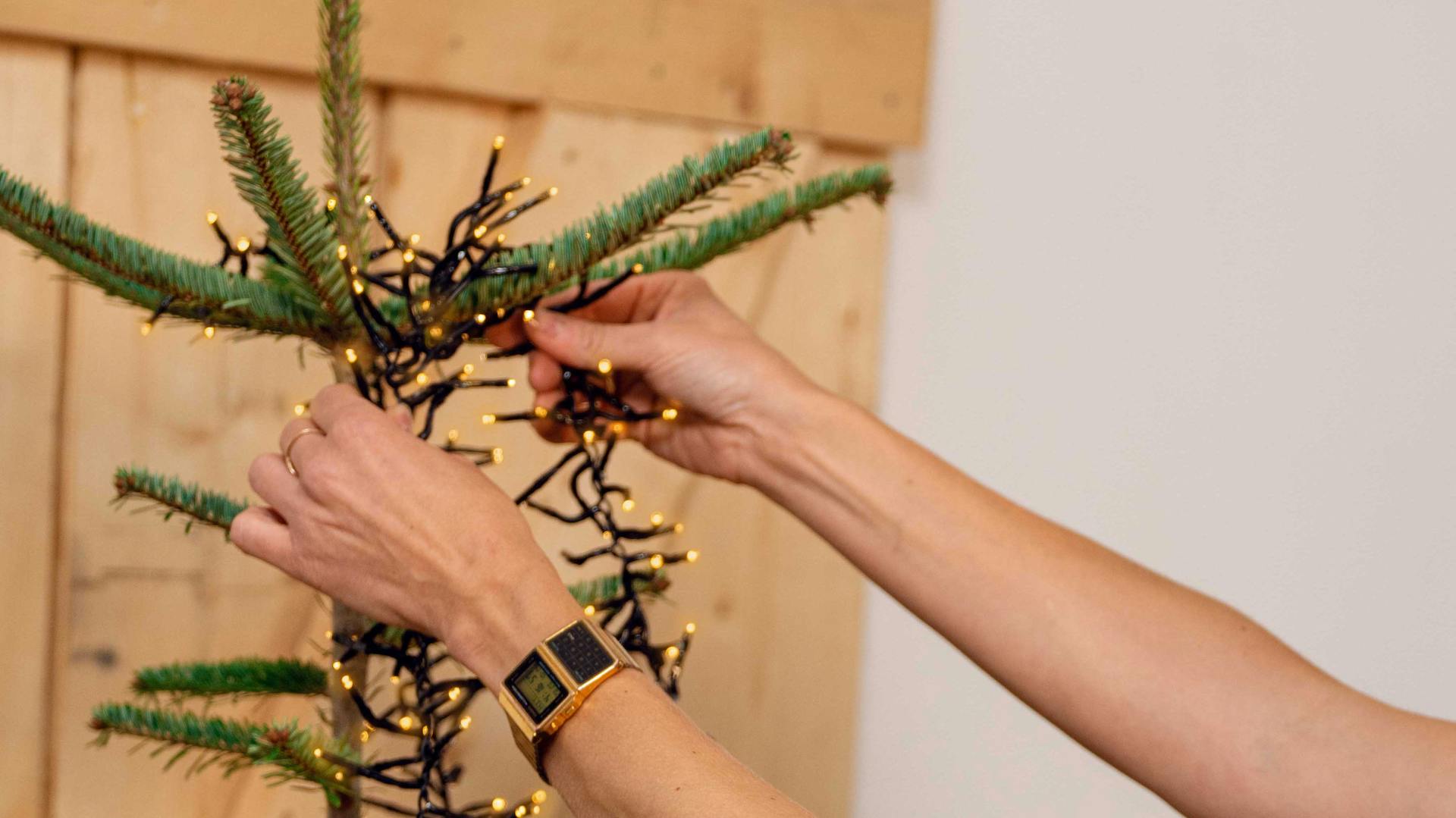 Égősor felhelyezése a karácsonyfára