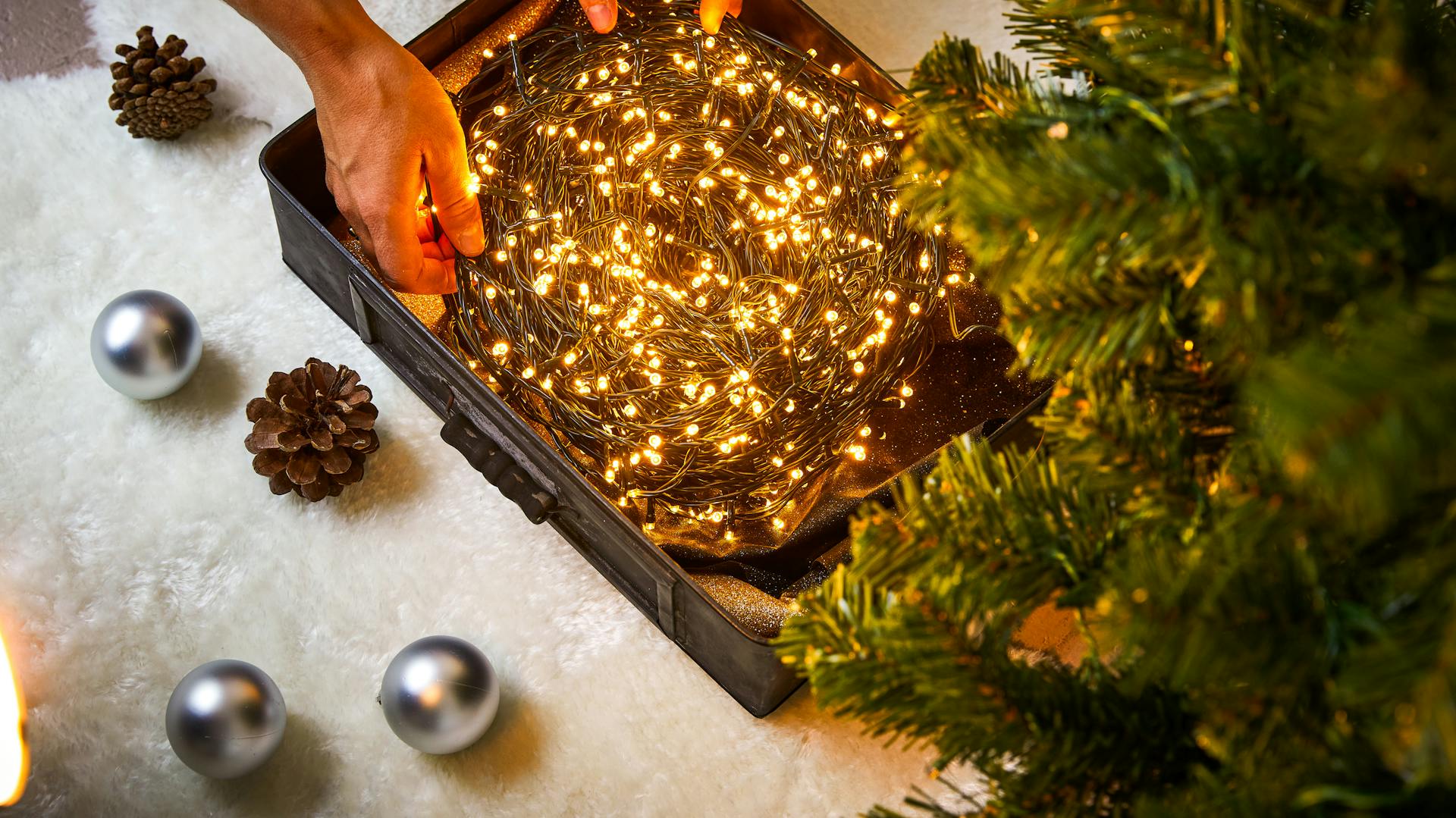 Leuchtende Lichterkette vor ungeschmücktem Weihnachtsbaum
