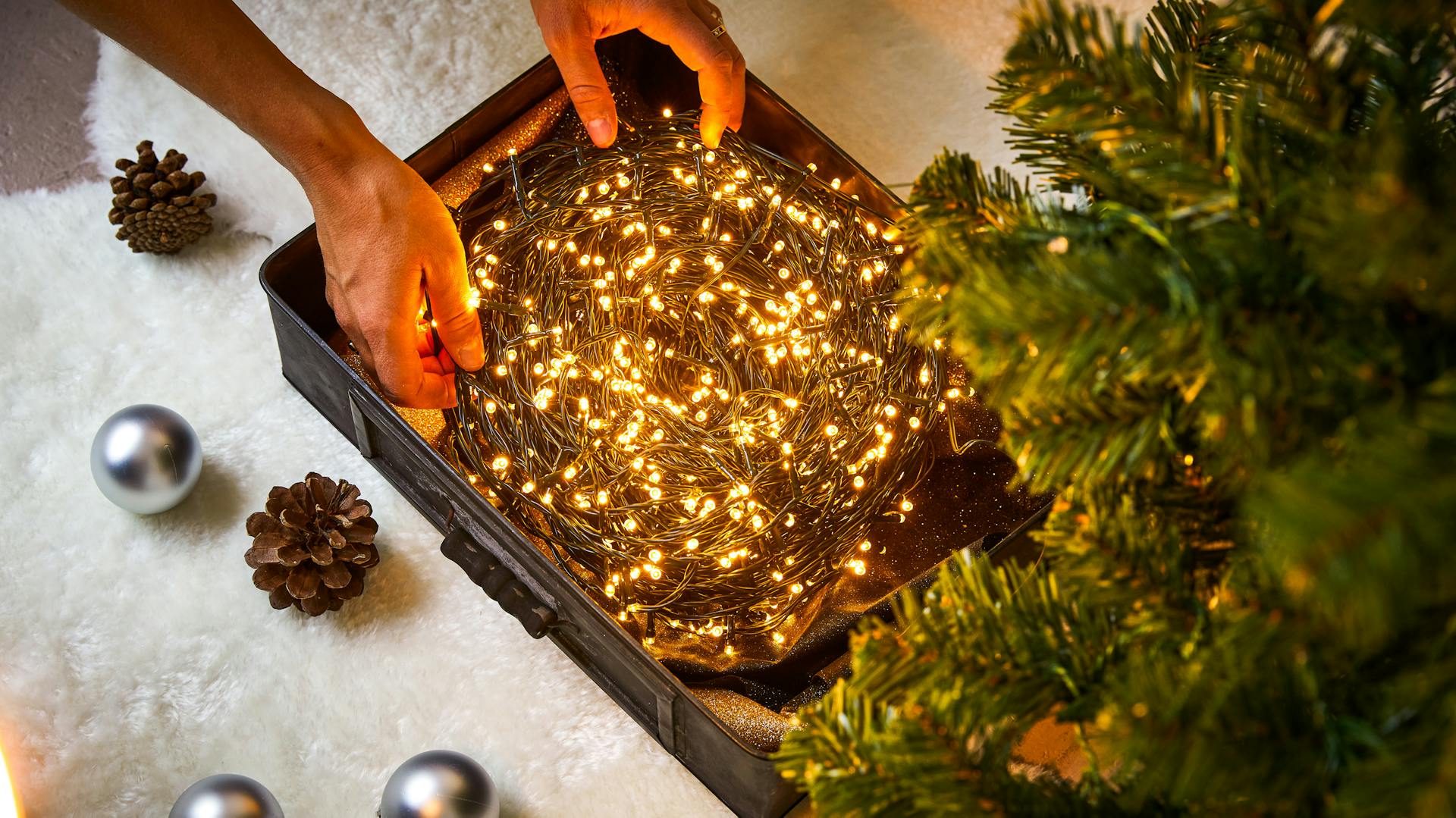 Leuchtende Lichterkette vor ungeschmücktem Weihnachtsbaum
