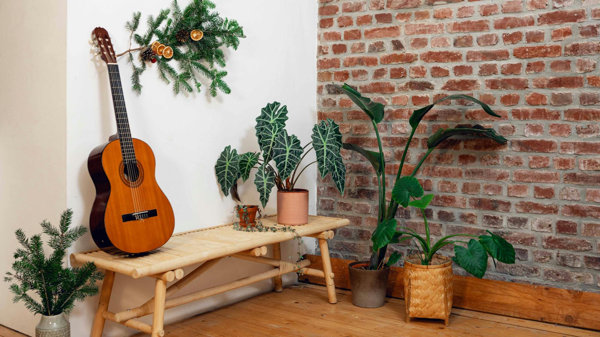 Rami dell’albero di Natale come decorazione in upcycling sulla parete