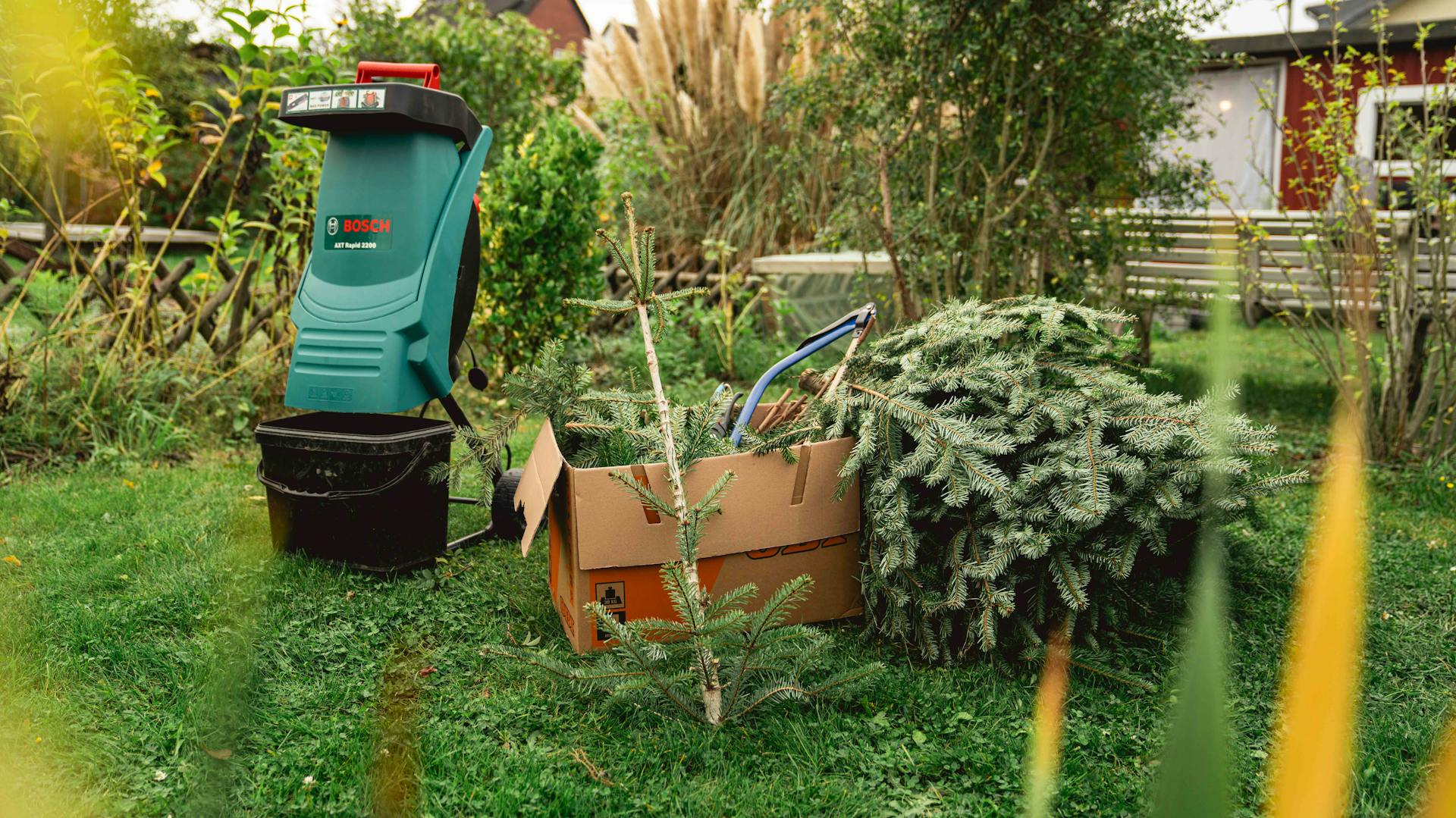Alter Weihnachtsbaum neben Häcksler in Garten