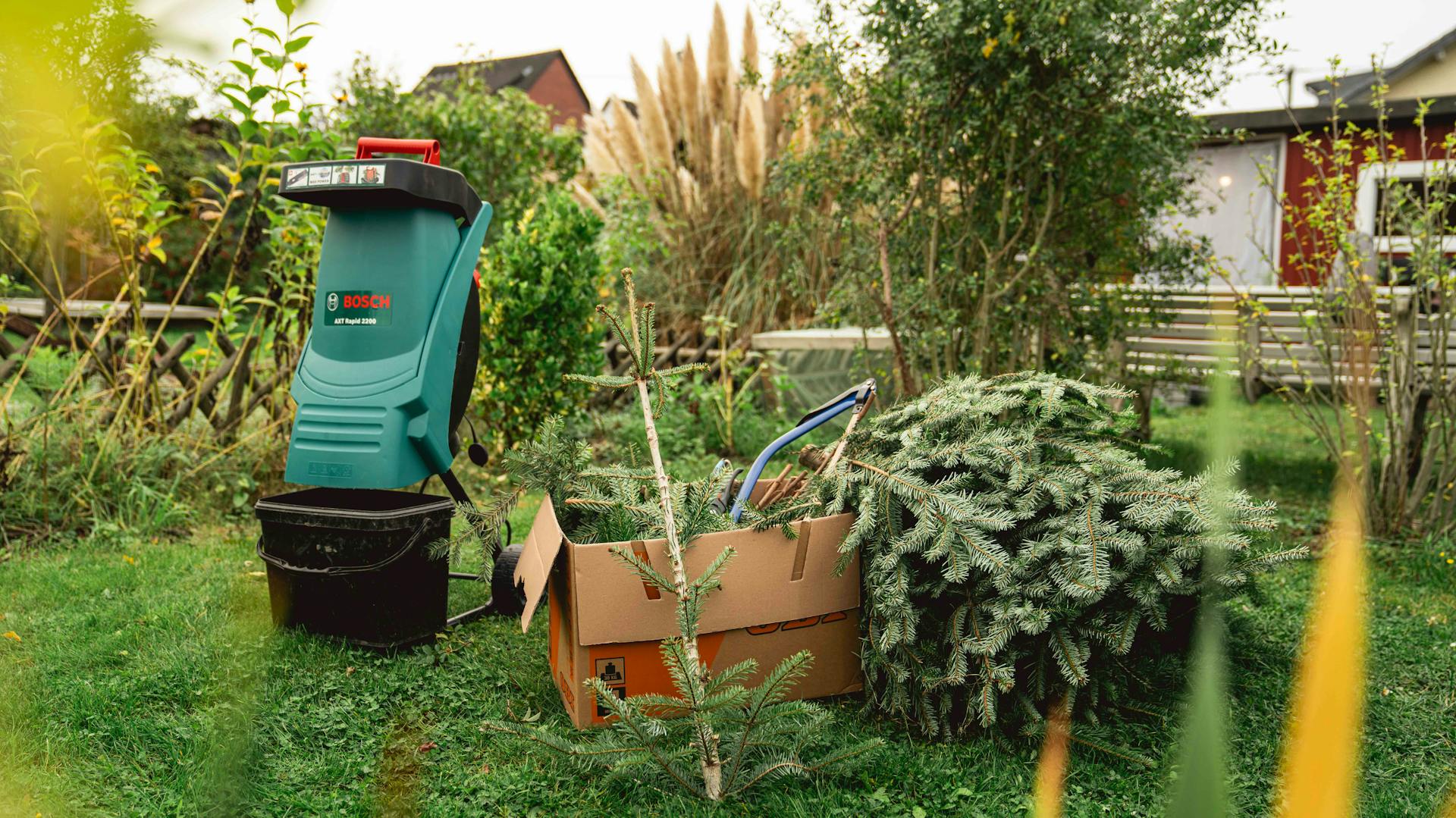 Vecchio albero di Natale accanto al trituratore in giardino