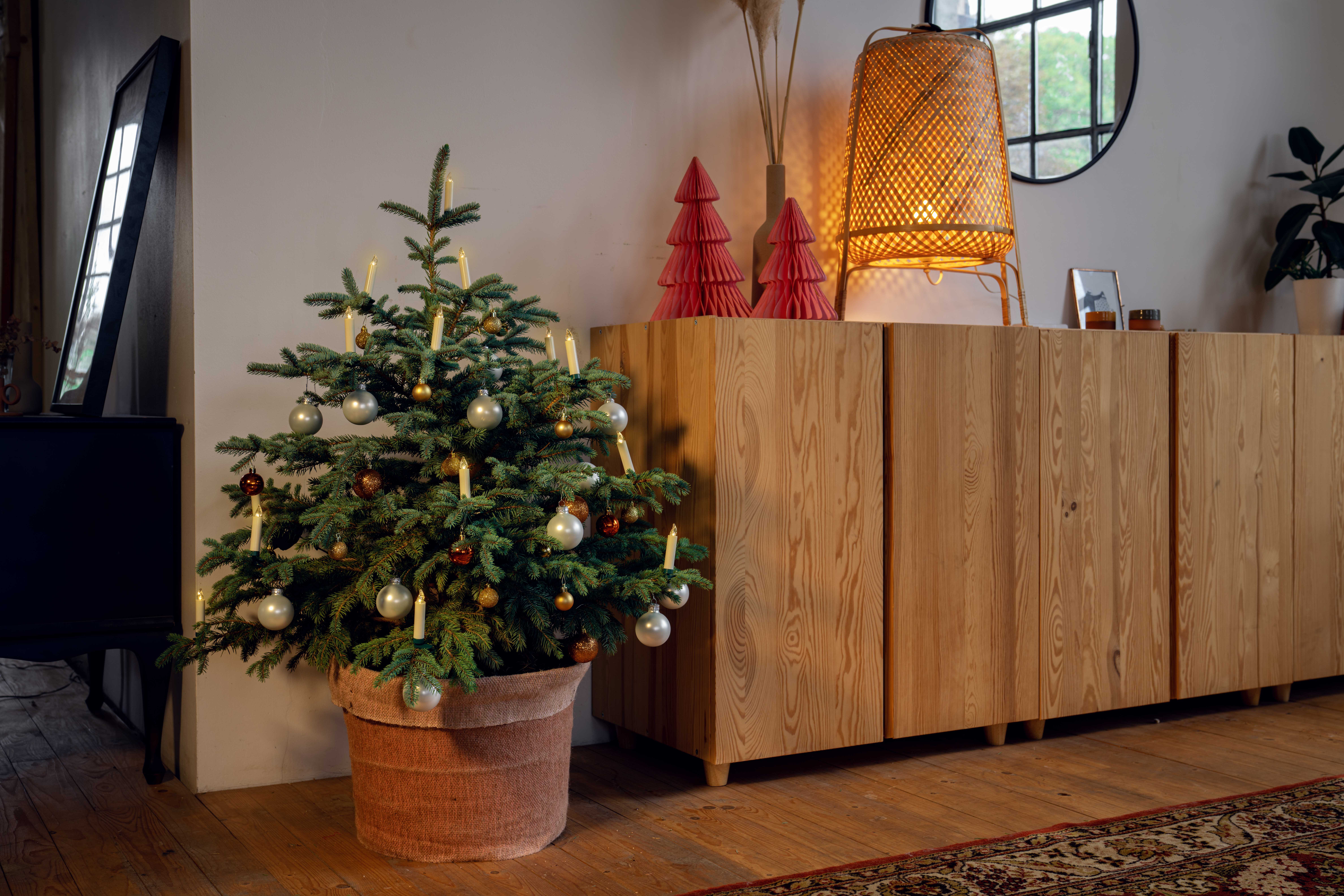 Weihnachtsbaum schmücken – Trends und Tipps OBI