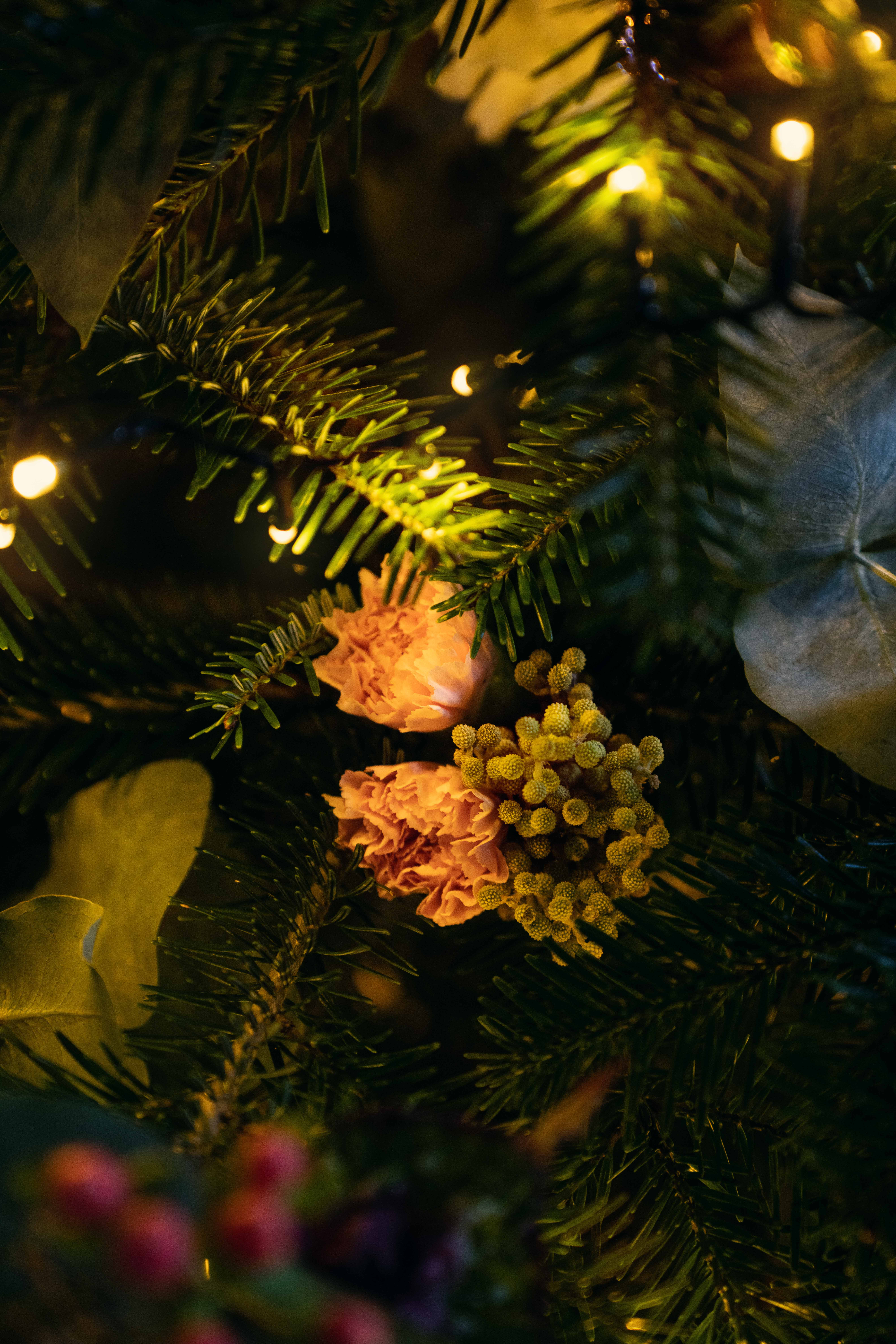 Weihnachtsbaum schmücken – Trends und Tipps  OBI