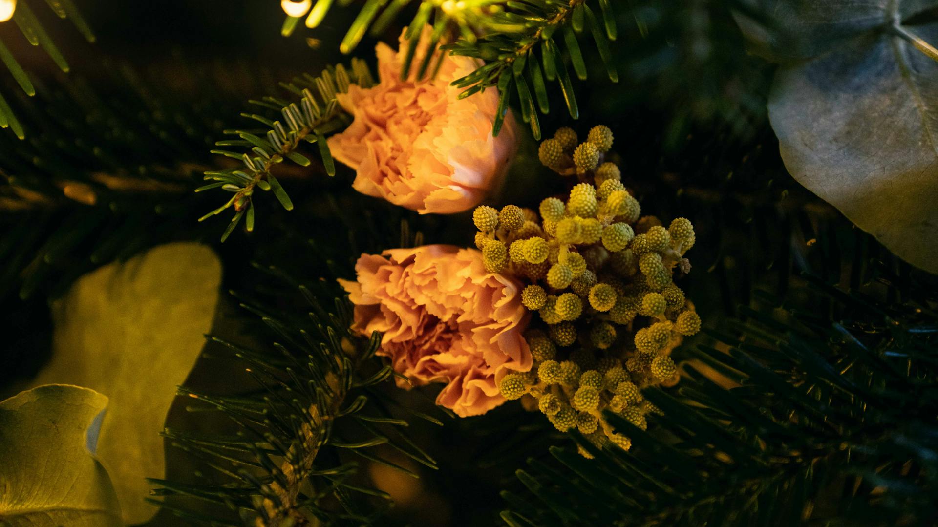 Virággal feldíszített fenyőág