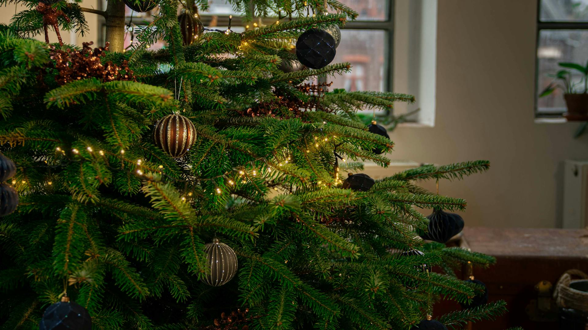 Eleganti addobbi per l’albero di Natale da vicino