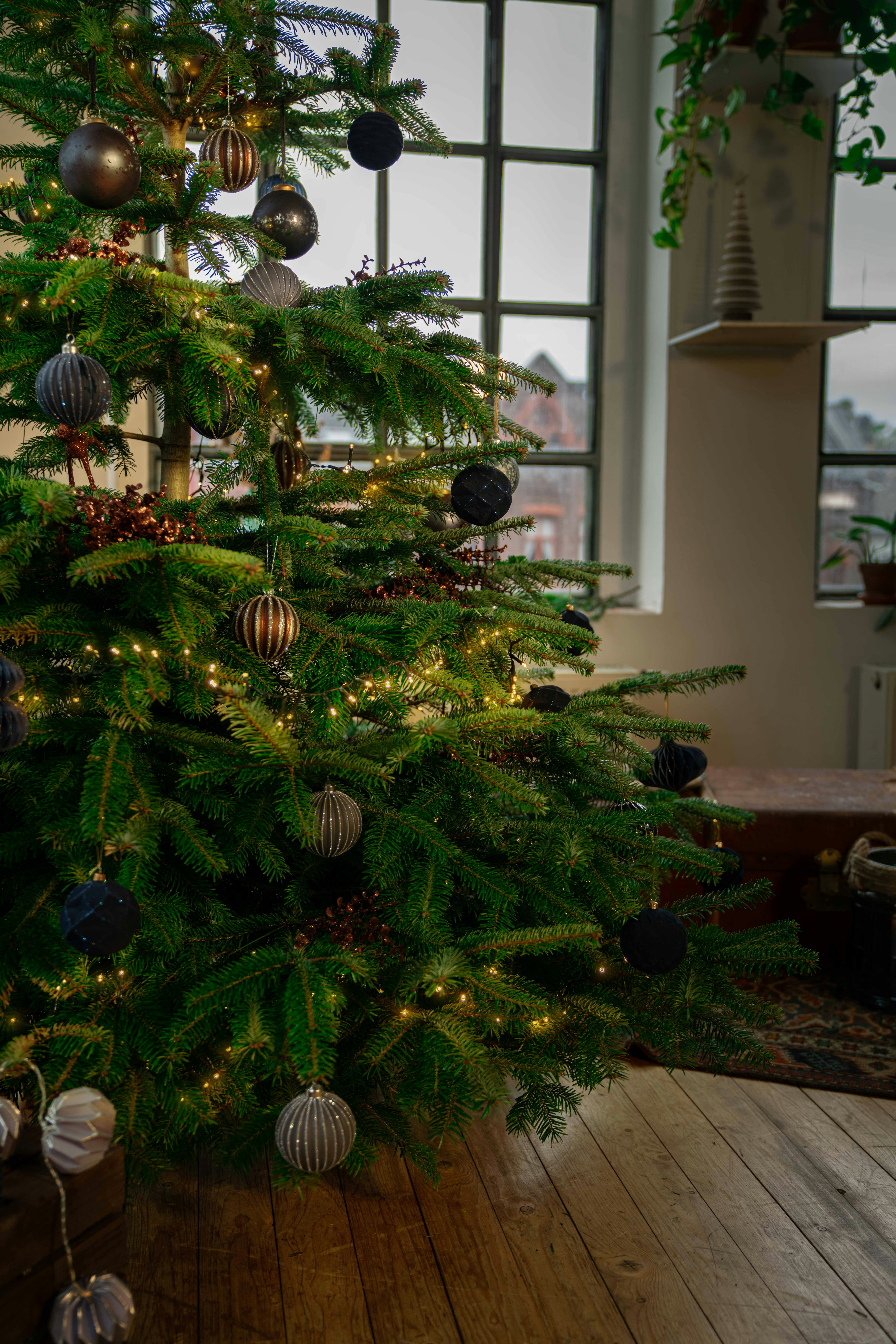 Weihnachtsbaum schmücken – Trends und Tipps OBI