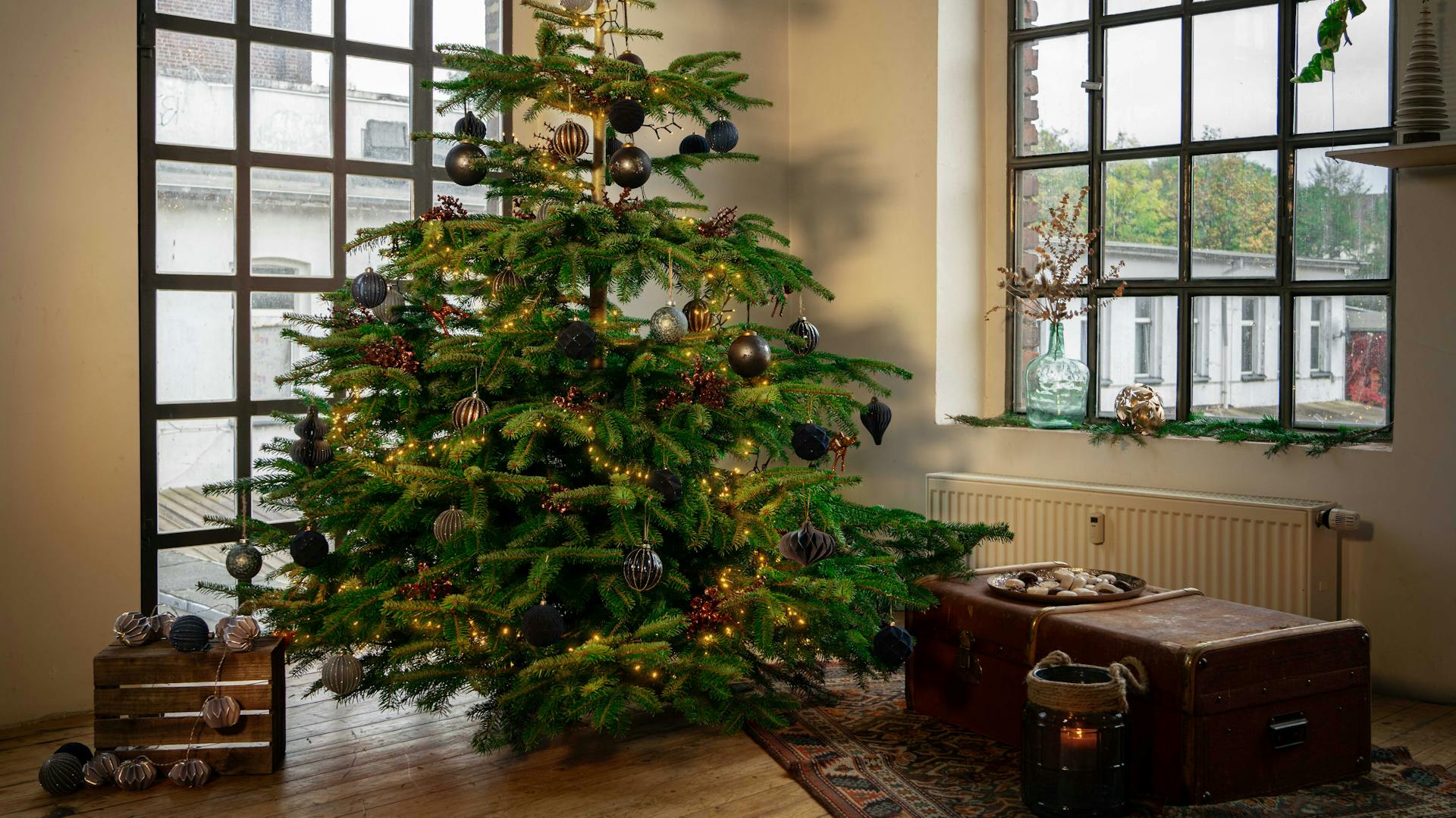 Kecses karácsonyfa kék gömbökkel az ablak előtt