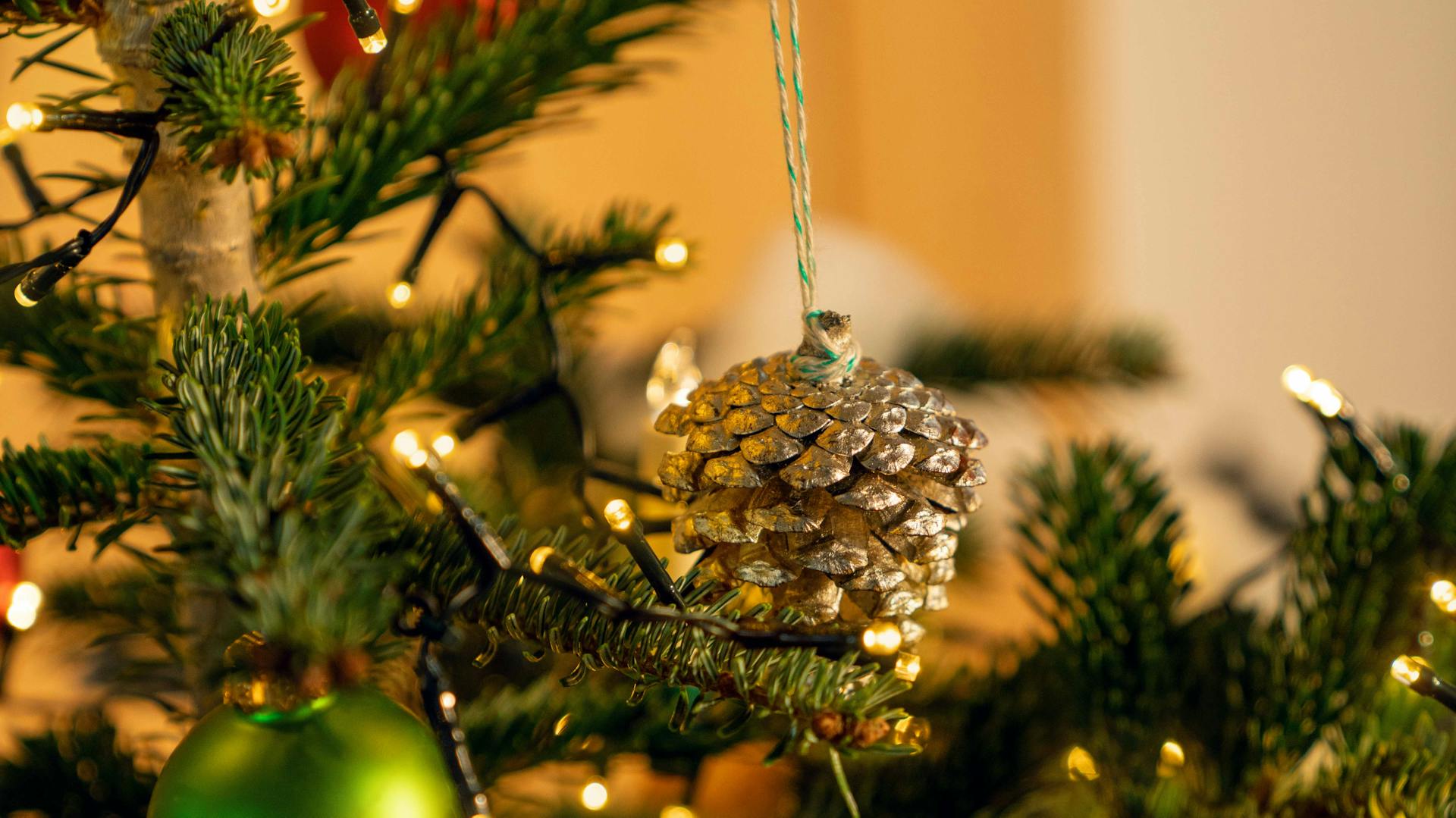 Addobbi per l’albero di Natale fai da te verniciati in argento da vicino