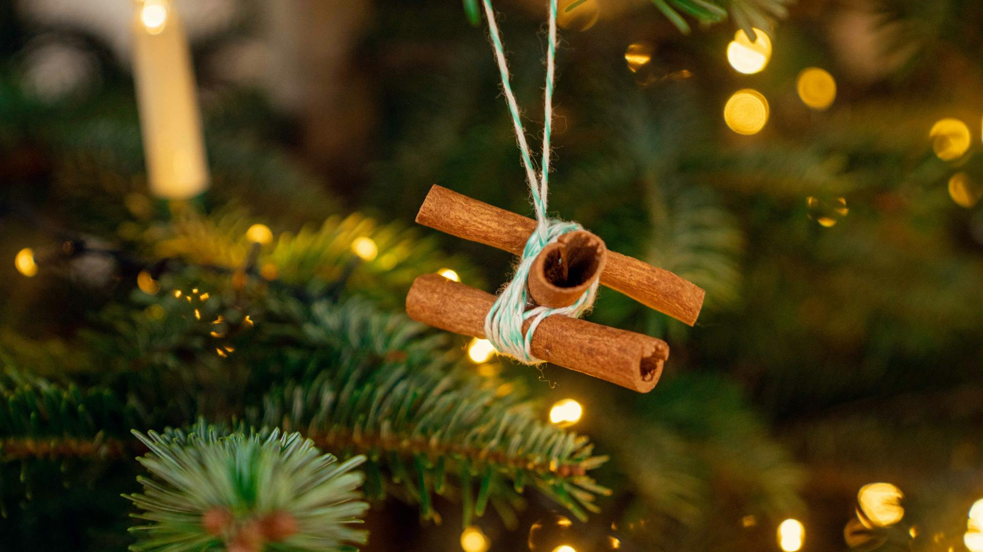 Bastoncini di cannella come addobbi per l’albero di Natale da vicino