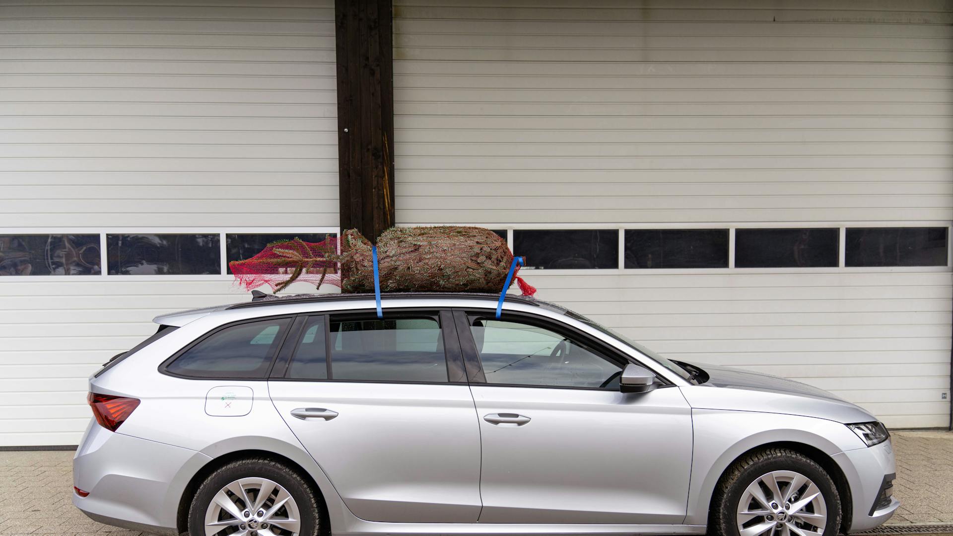 Weihnachtsbaum gesichert im Netz auf Autodach zum Transport