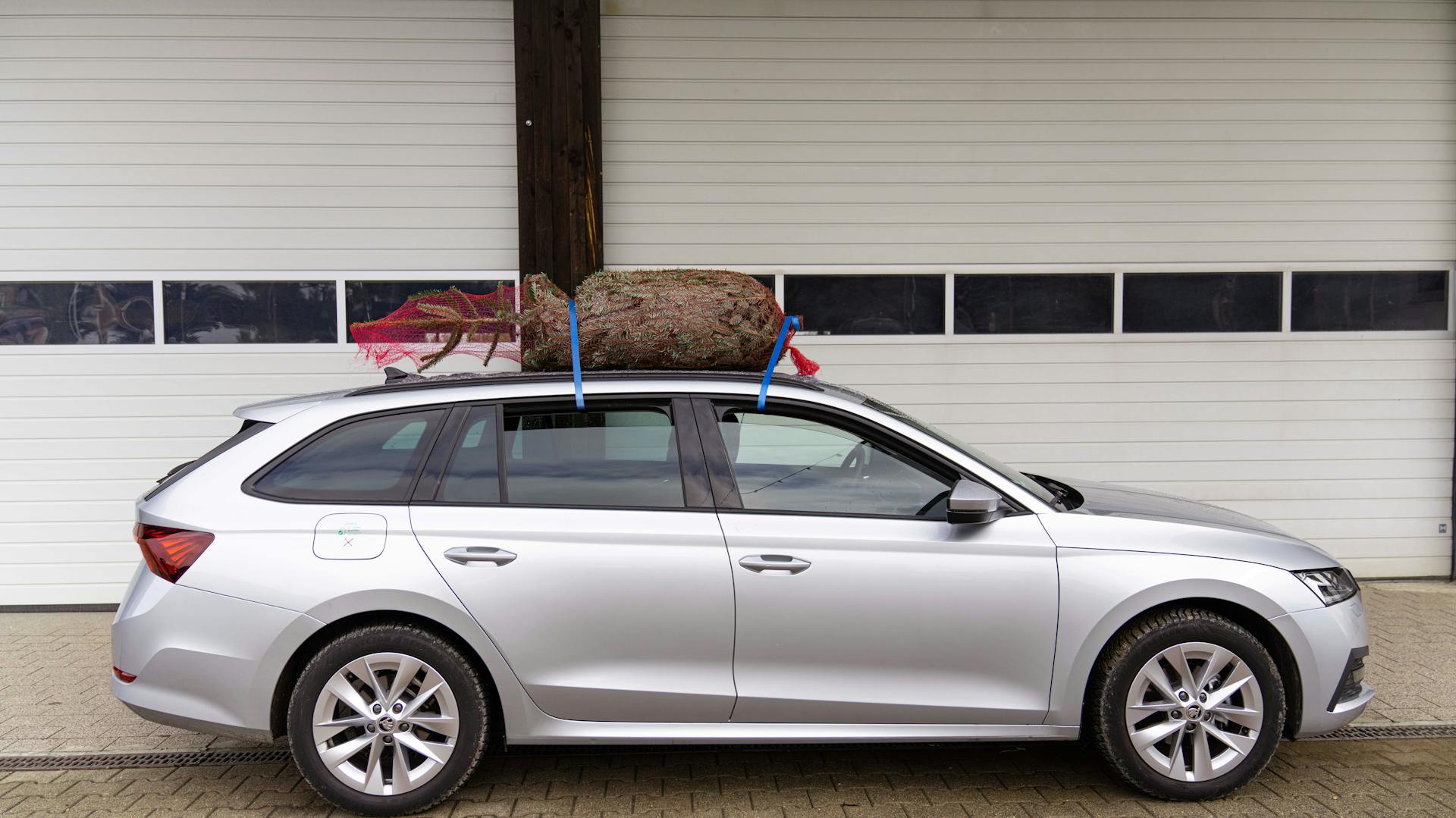 Albero di Natale avvolto nella rete e fissato al tetto dell’auto per il trasporto