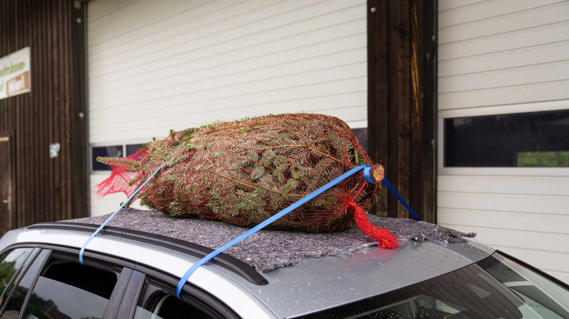 Stromek připevněný ke střeše auta pomocí upínacích pásů.