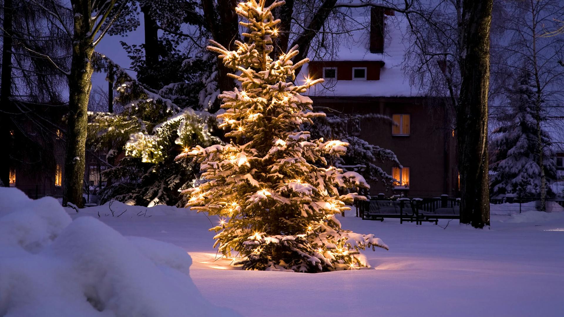 Weihnachtsbeleuchtung außen Ideen und Tipps OBI