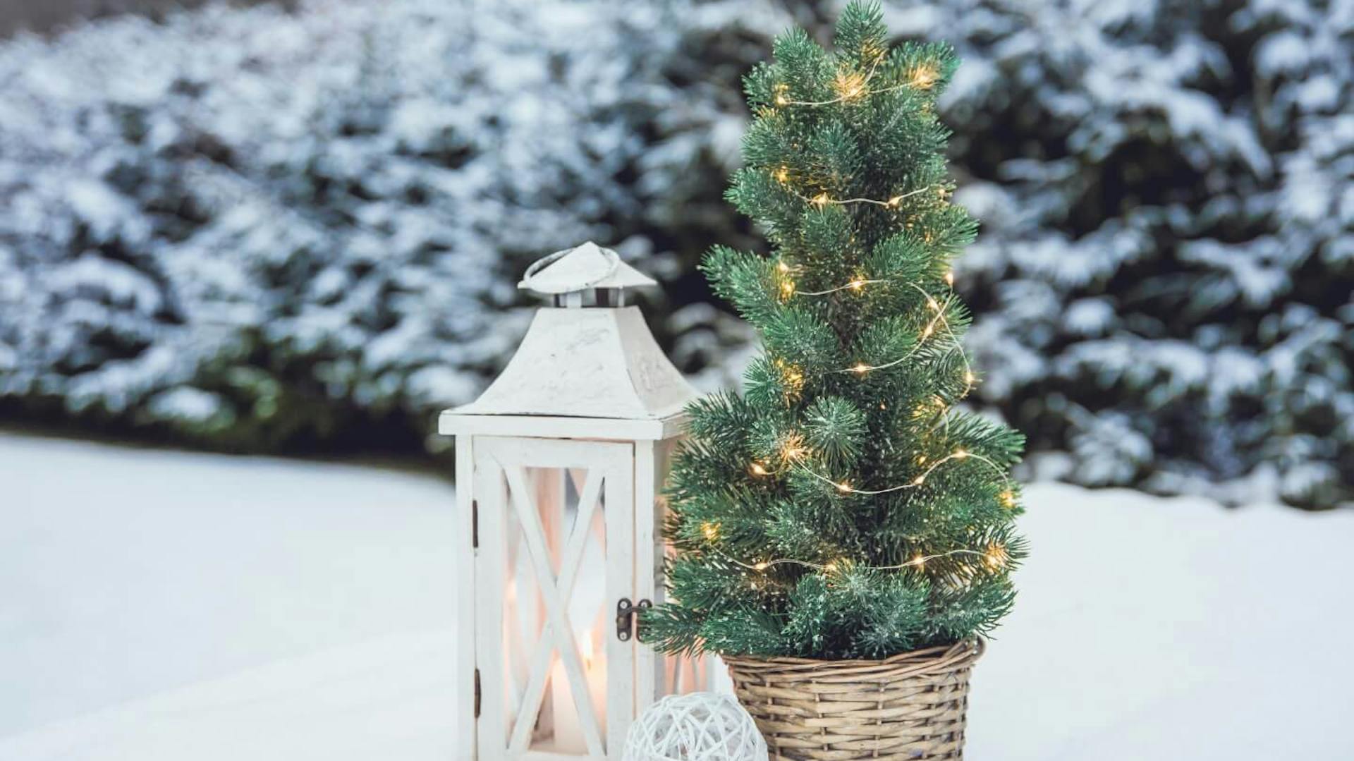 La lanterna si trova accanto a un piccolo albero di Natale addobbato con ghirlande luminose nel giardino innevato.